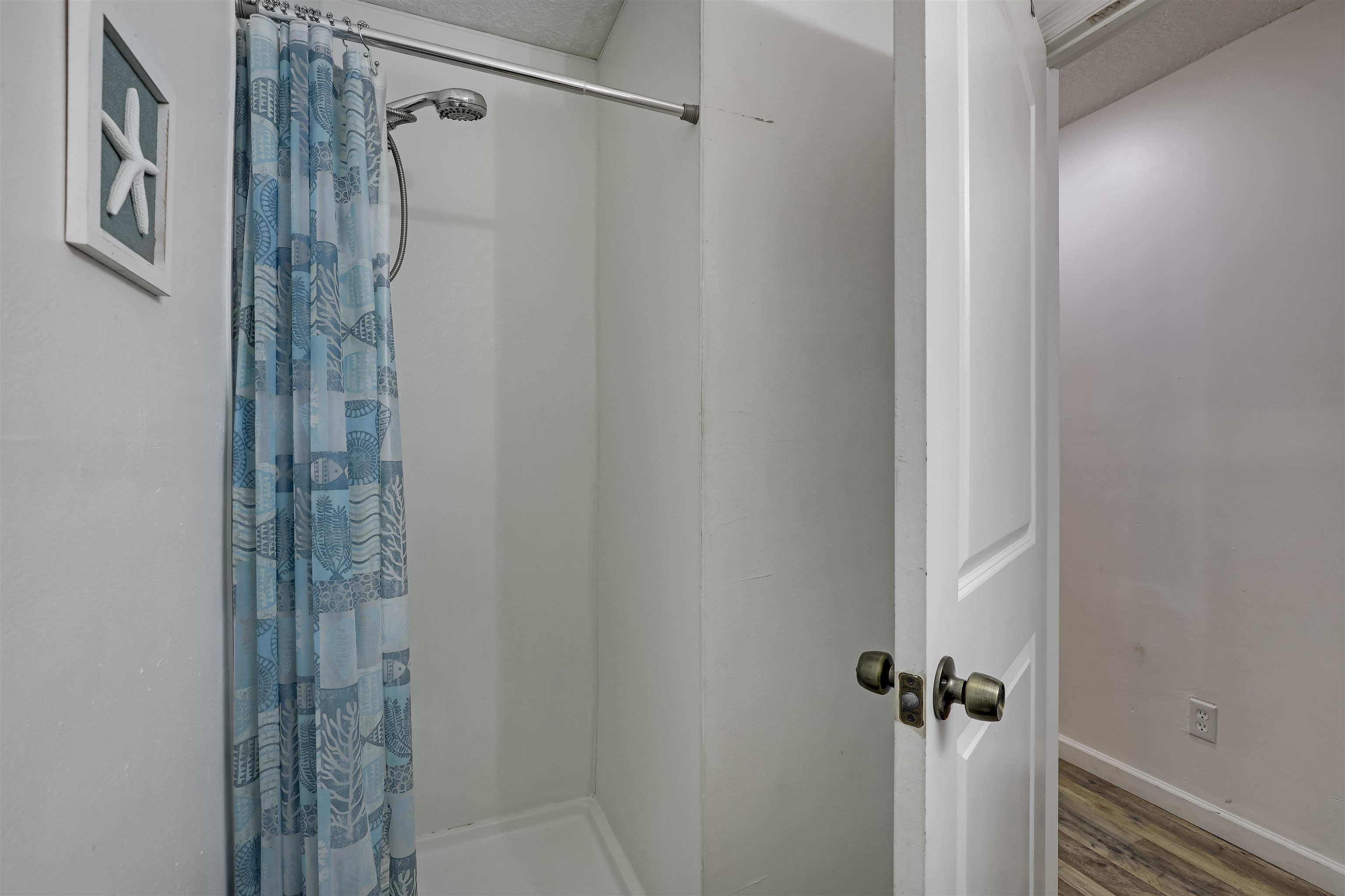 Image 27 of 52 For 237 Riberia St