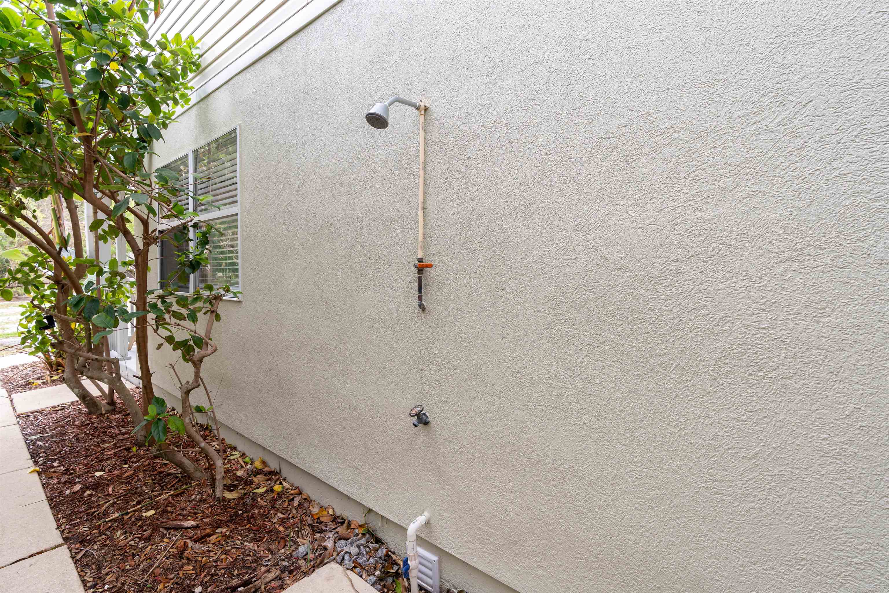 Image 27 of 68 For 203 E St  