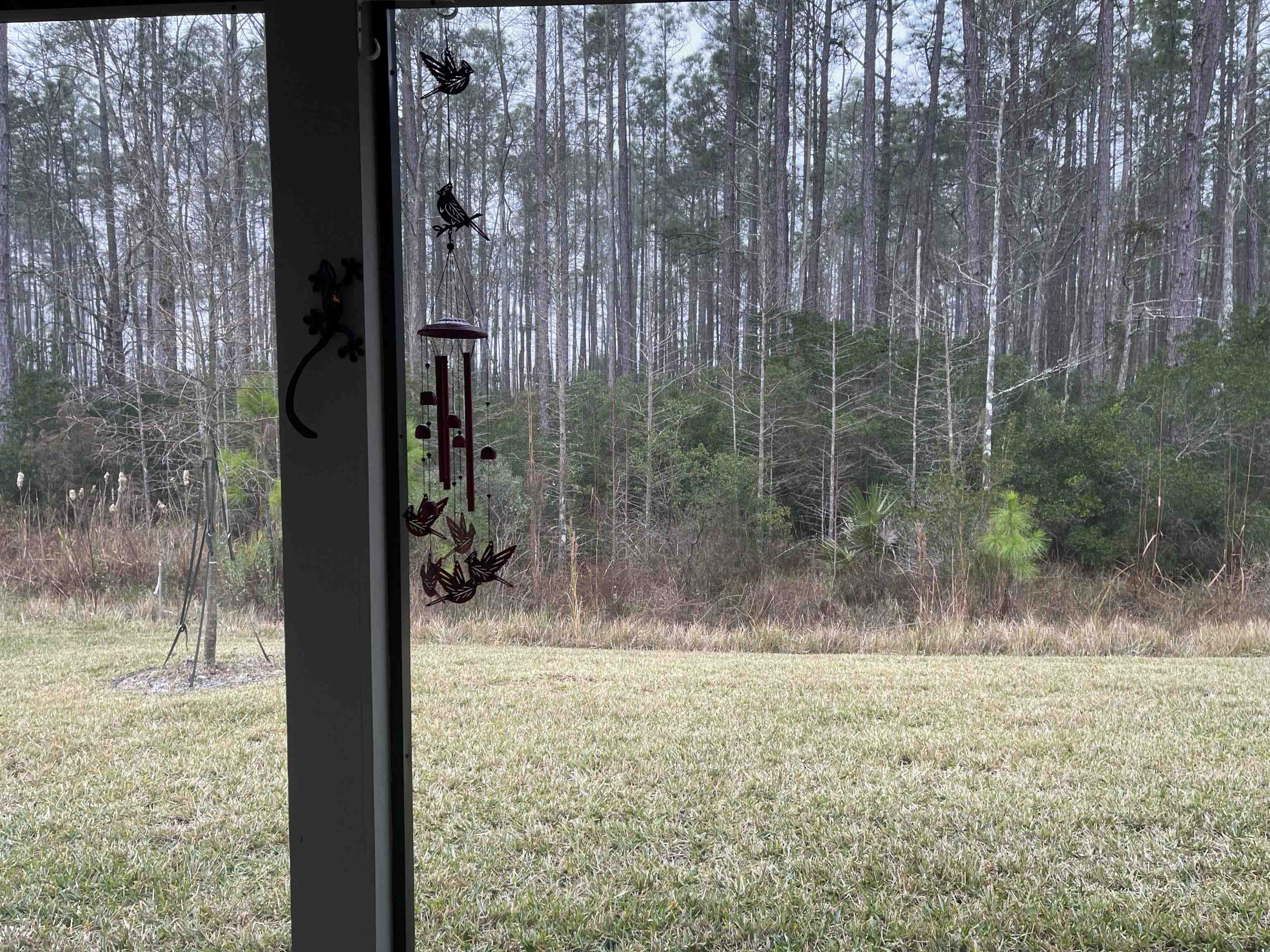 Image 17 of 42 For 28 Eagles Landing Ln