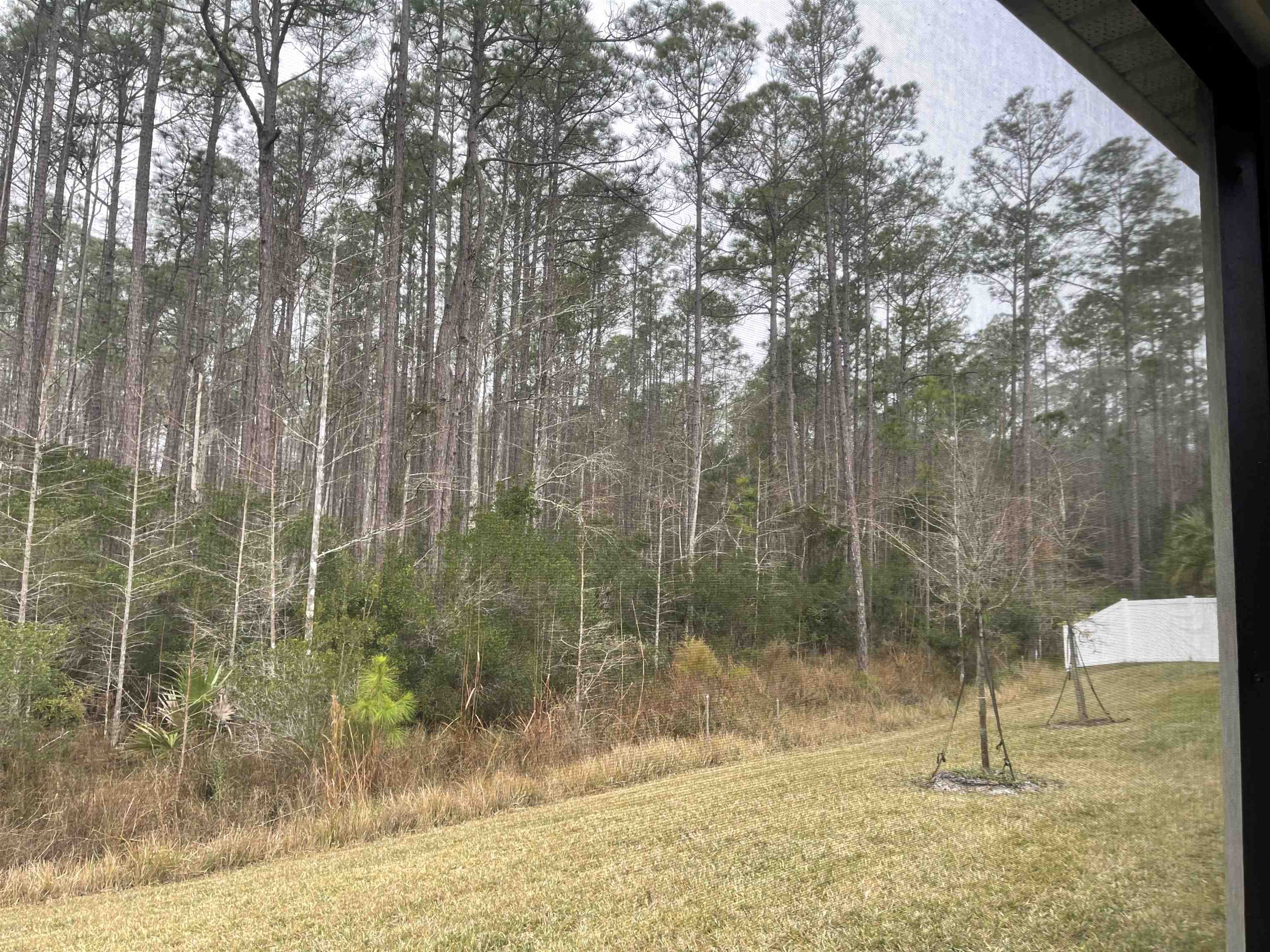 Image 18 of 42 For 28 Eagles Landing Ln