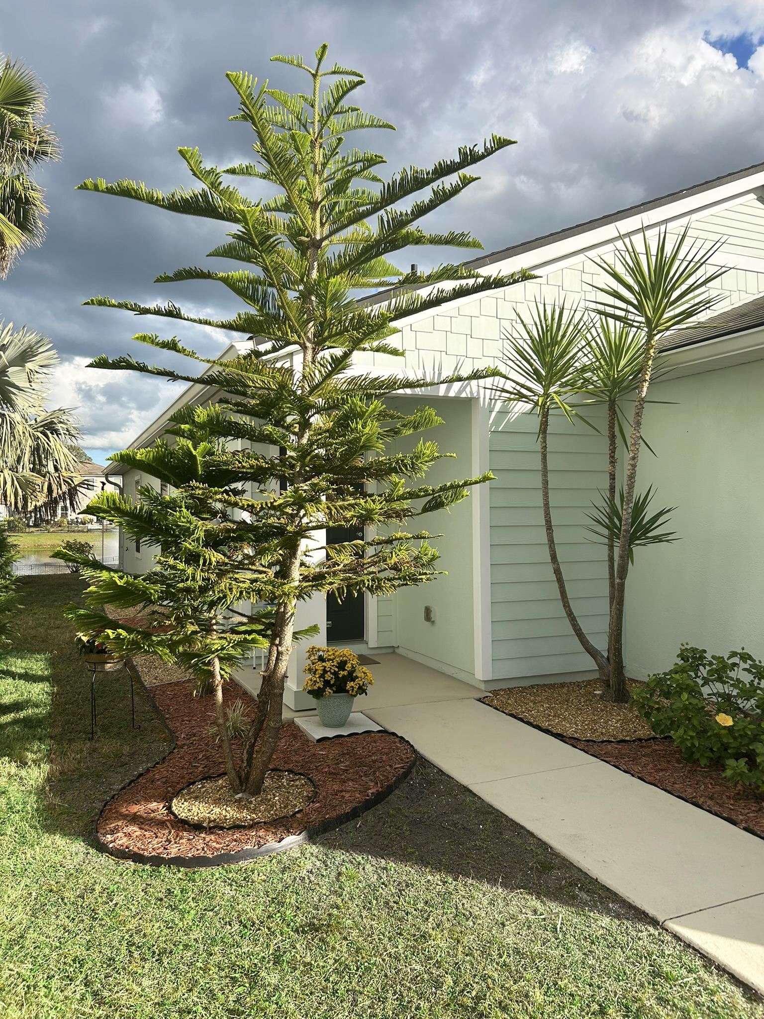 Image 5 of 27 For 127 Ashby Landing Way