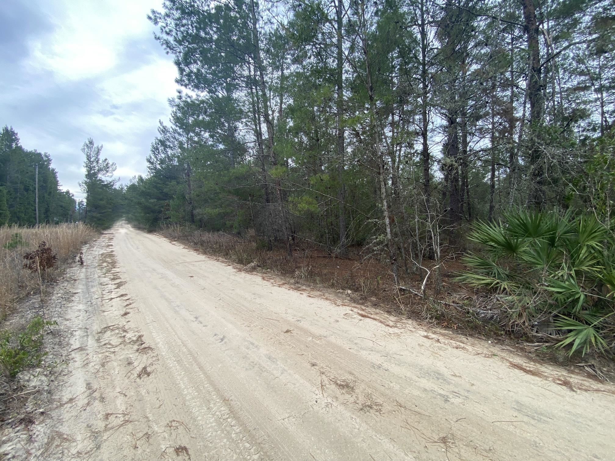 Details for 211 Suge Ln., Florahome, FL 32140