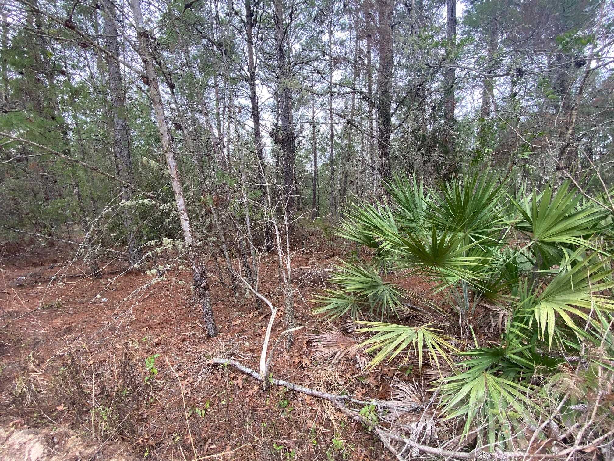 Image 2 of 4 For 211 Suge Ln.