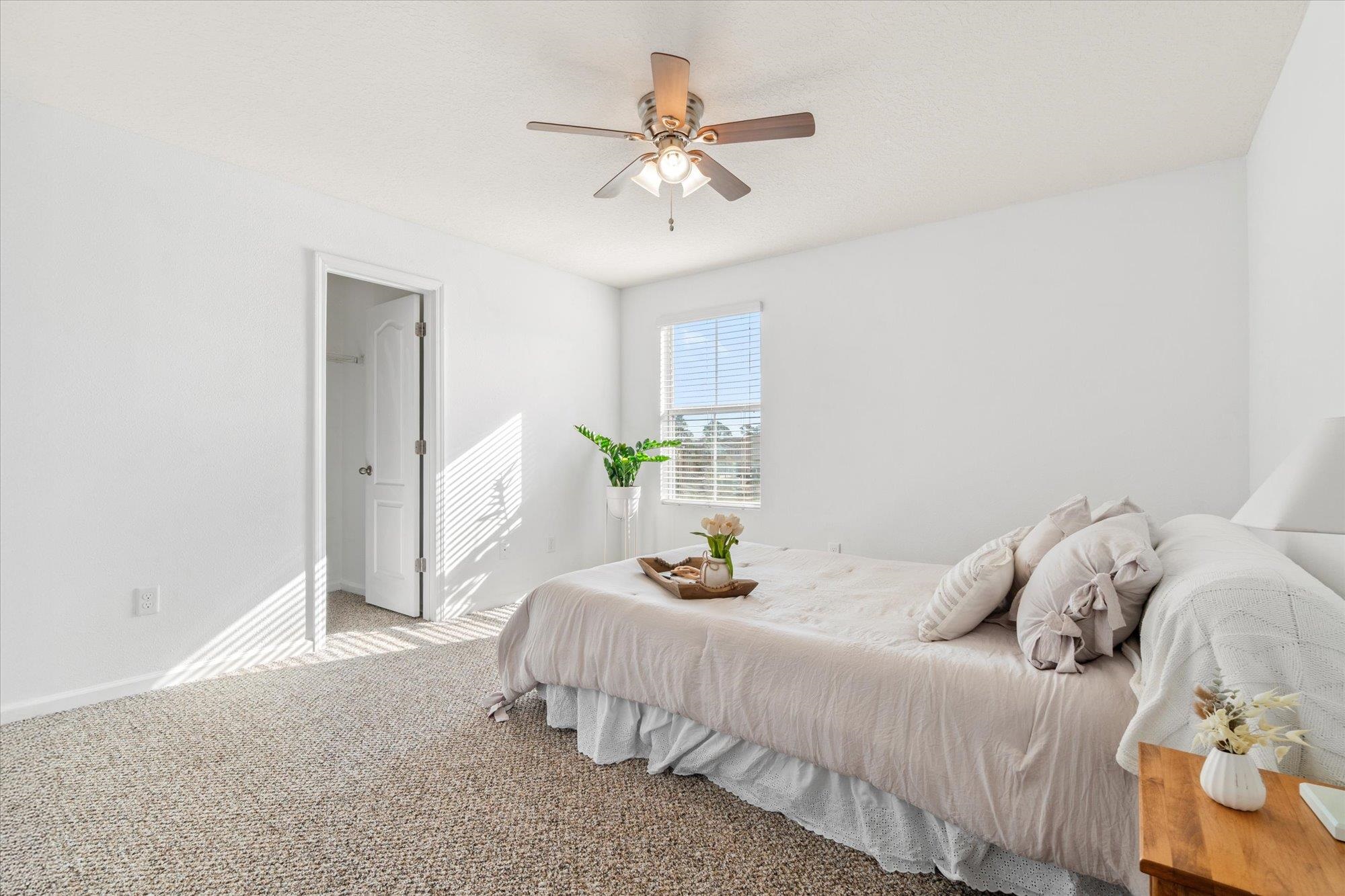 Image 14 of 42 For 93 Whitland Way