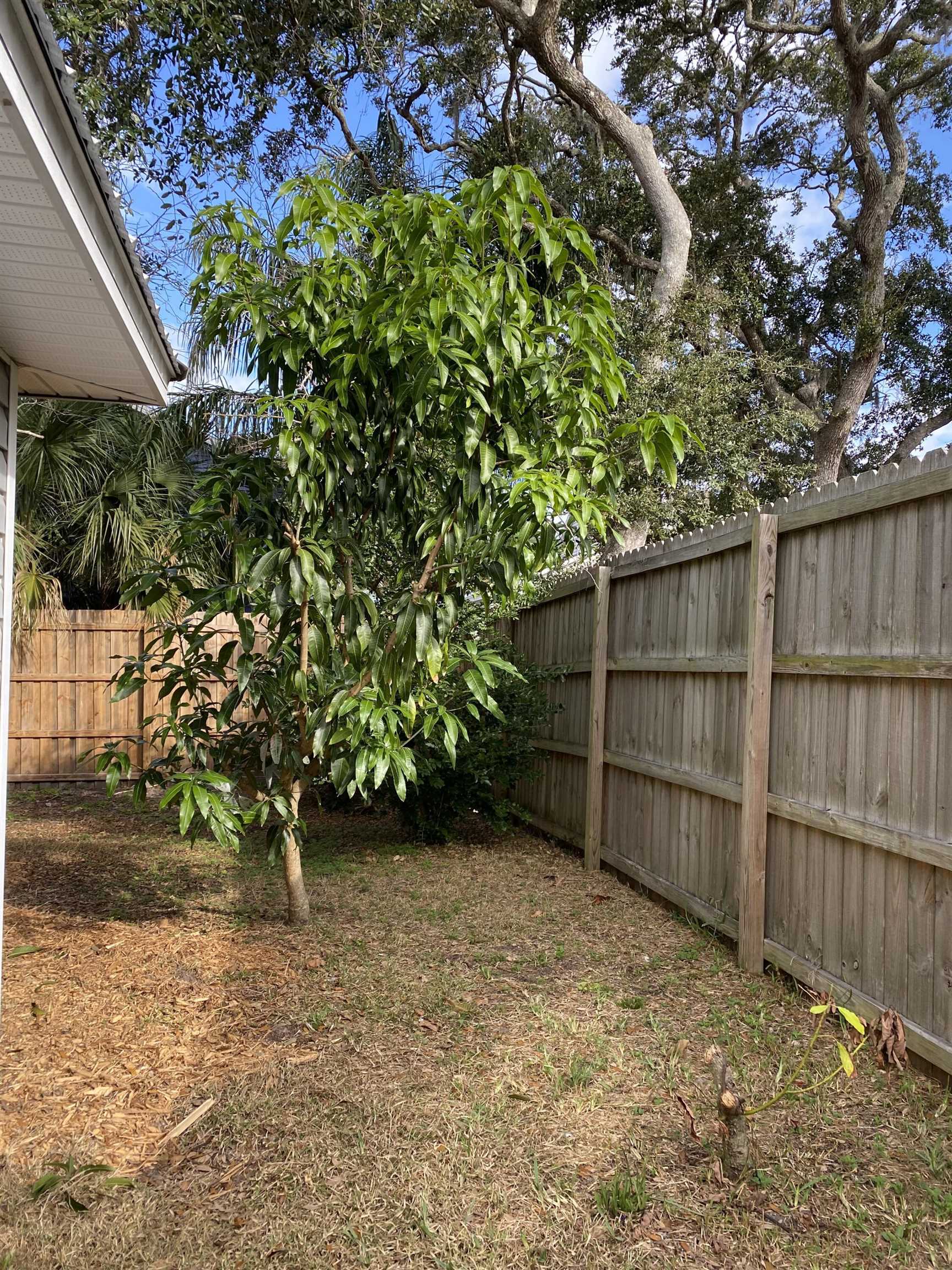 Image 31 of 36 For 497 Pyrus St