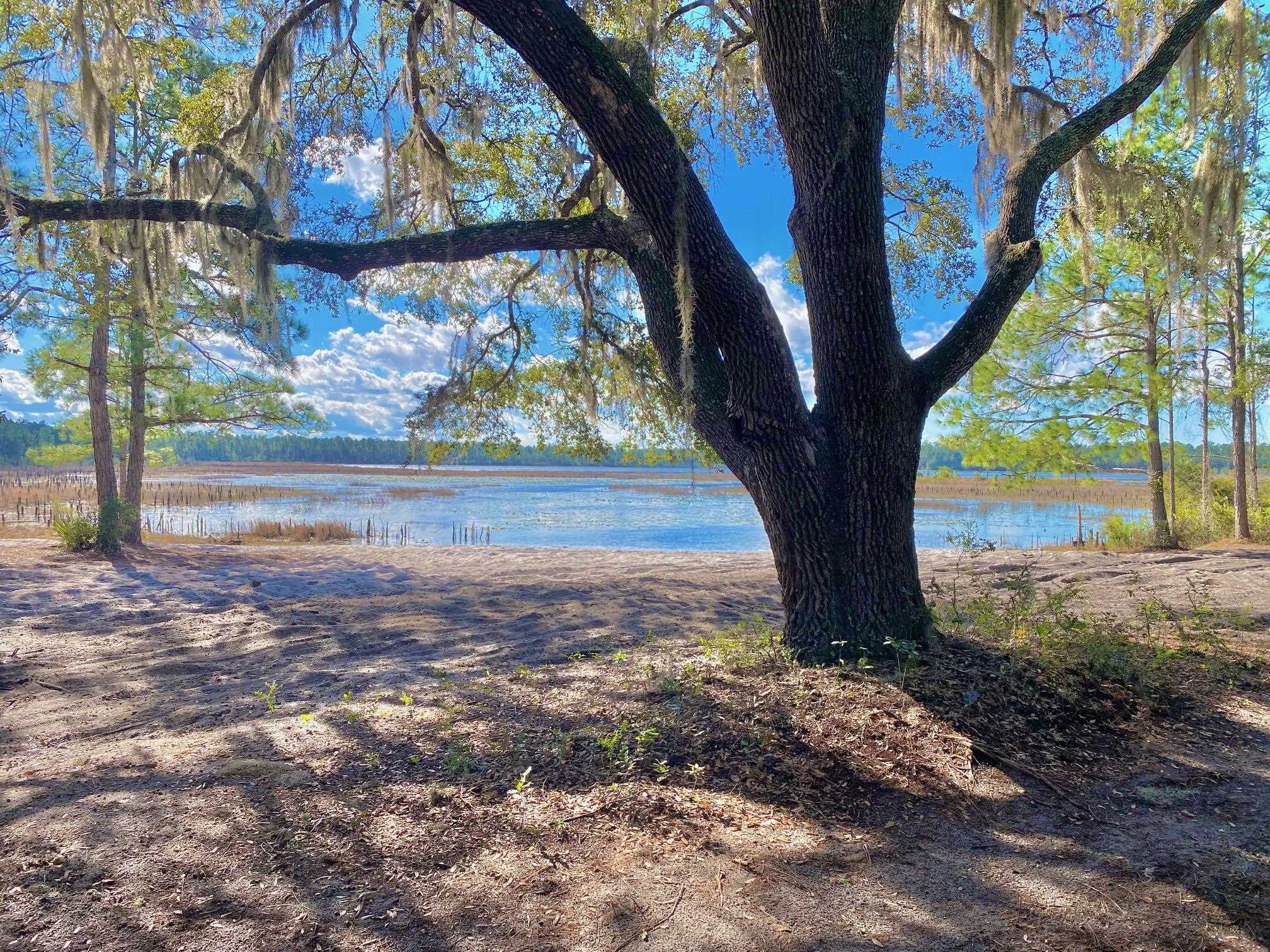 Image 14 of 14 For 18990 95th Pl Se