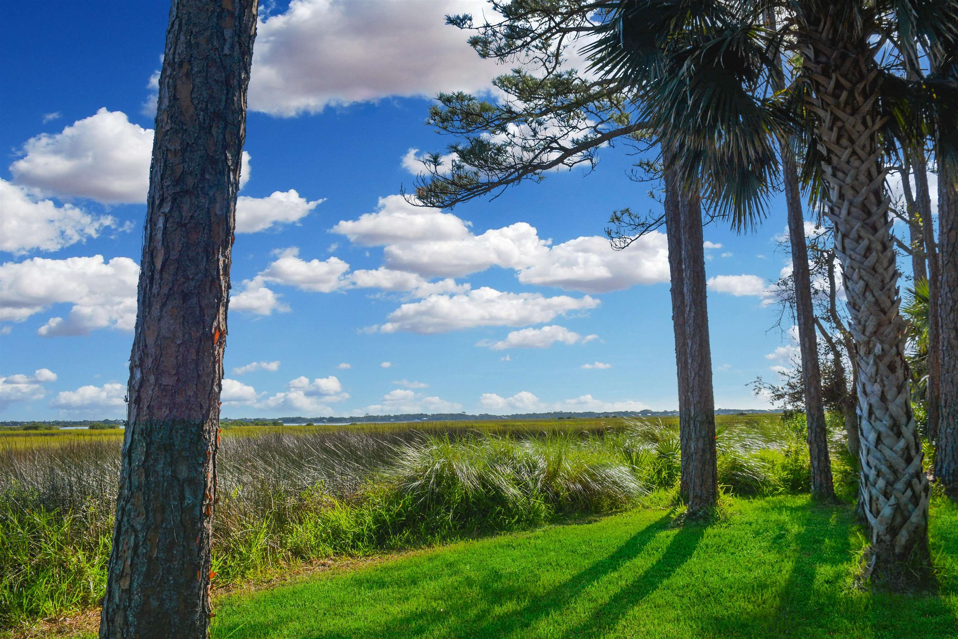 Image 32 of 36 For 28 Catalonia Ct