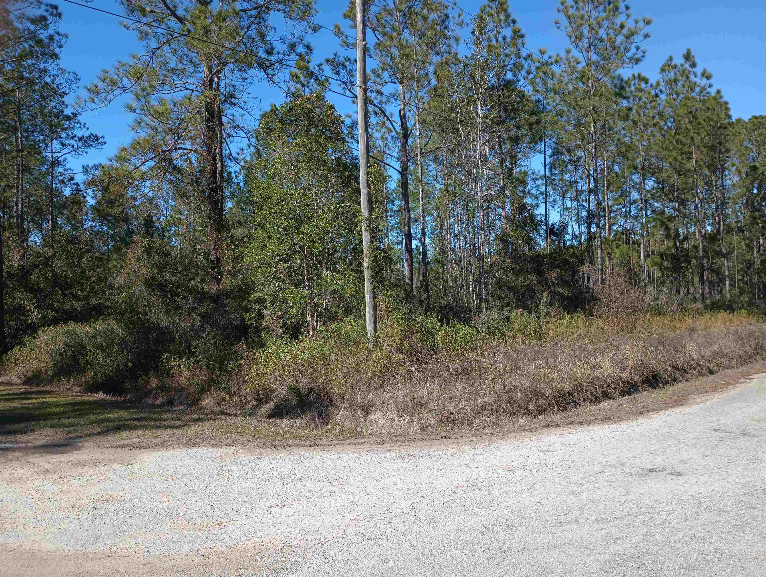 Details for 10575 Amos Ave, Hastings, FL 32145