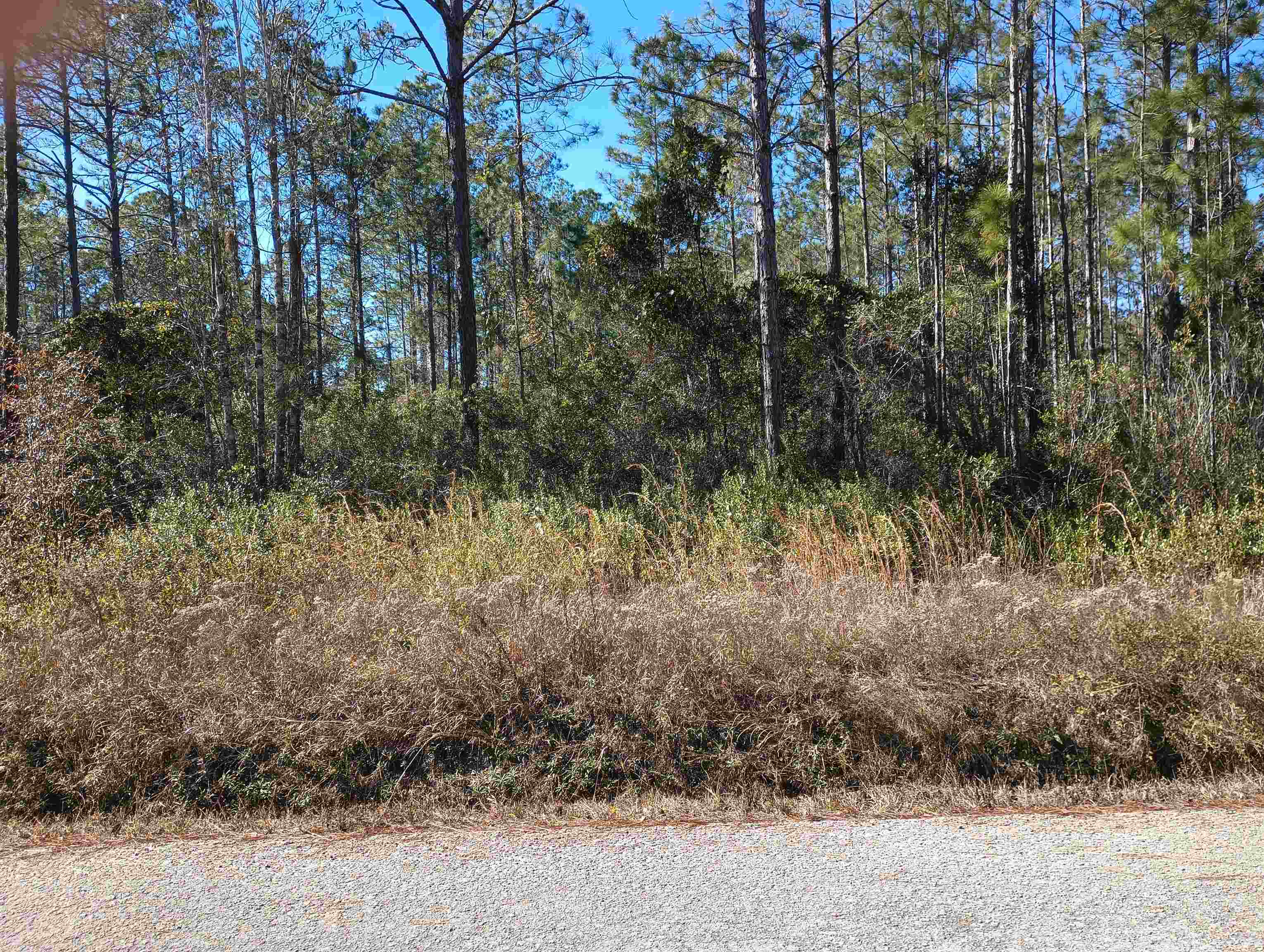 Image 2 of 12 For 10575 Amos Ave