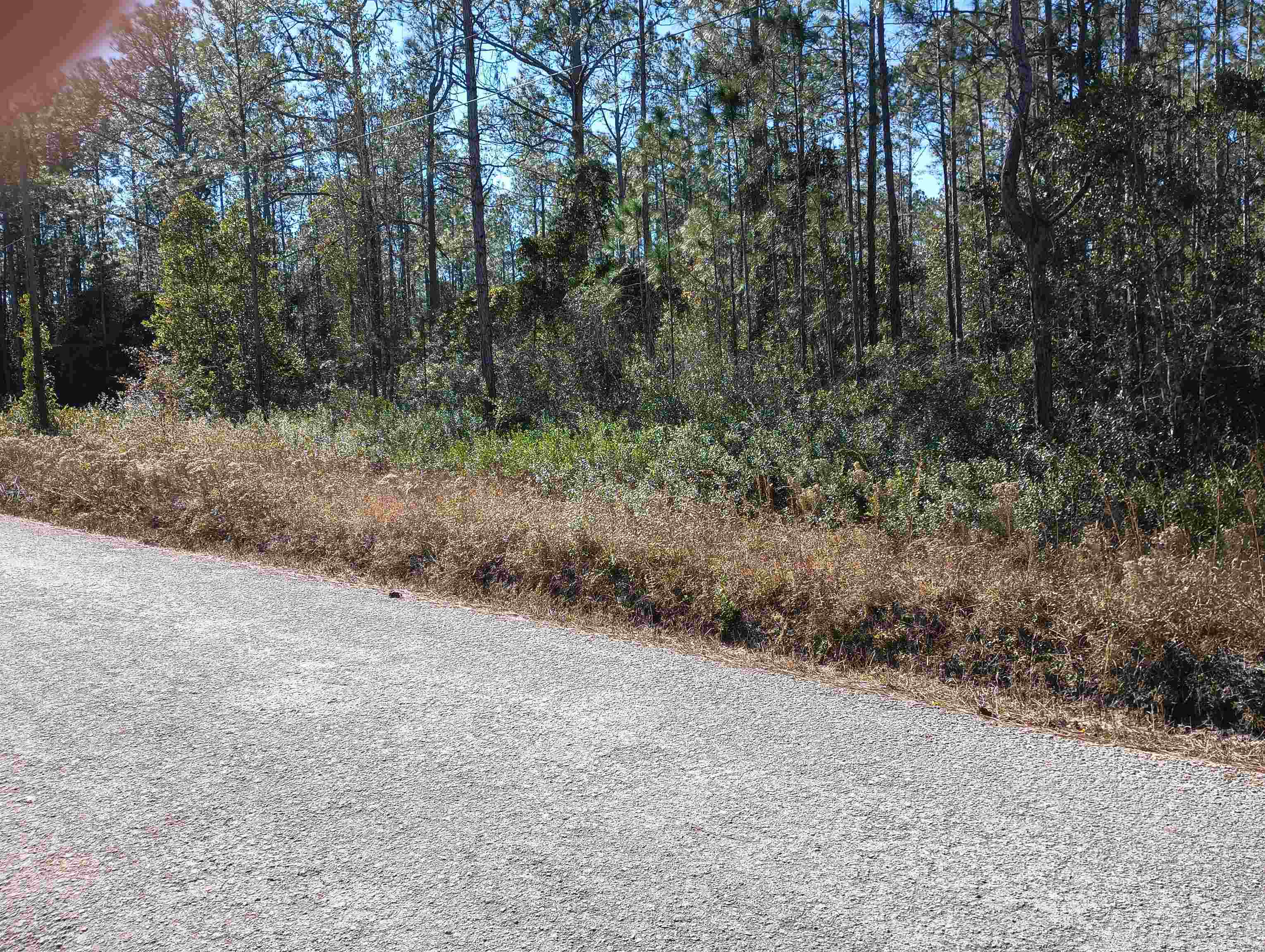 Image 3 of 12 For 10575 Amos Ave