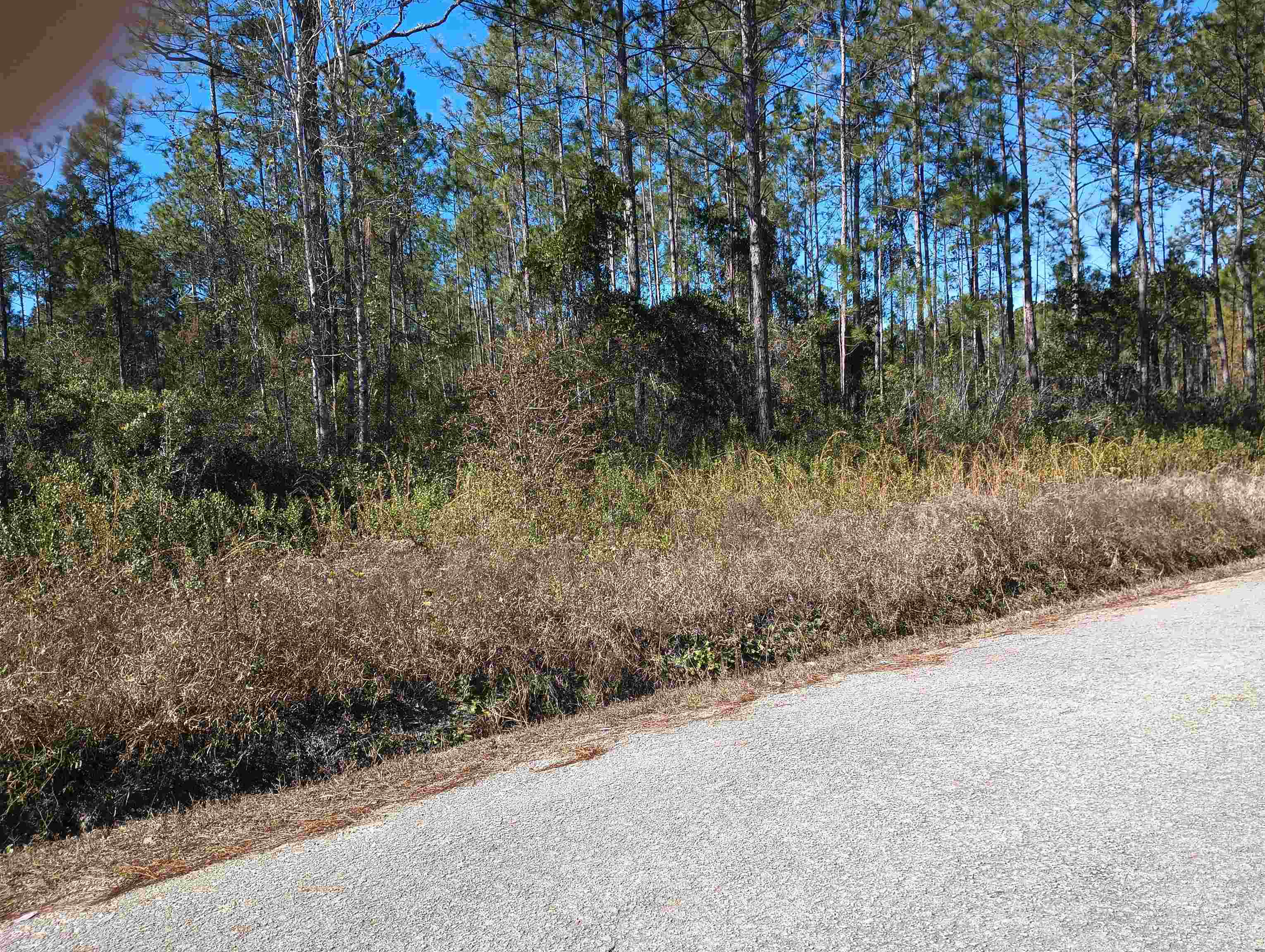 Image 4 of 12 For 10575 Amos Ave