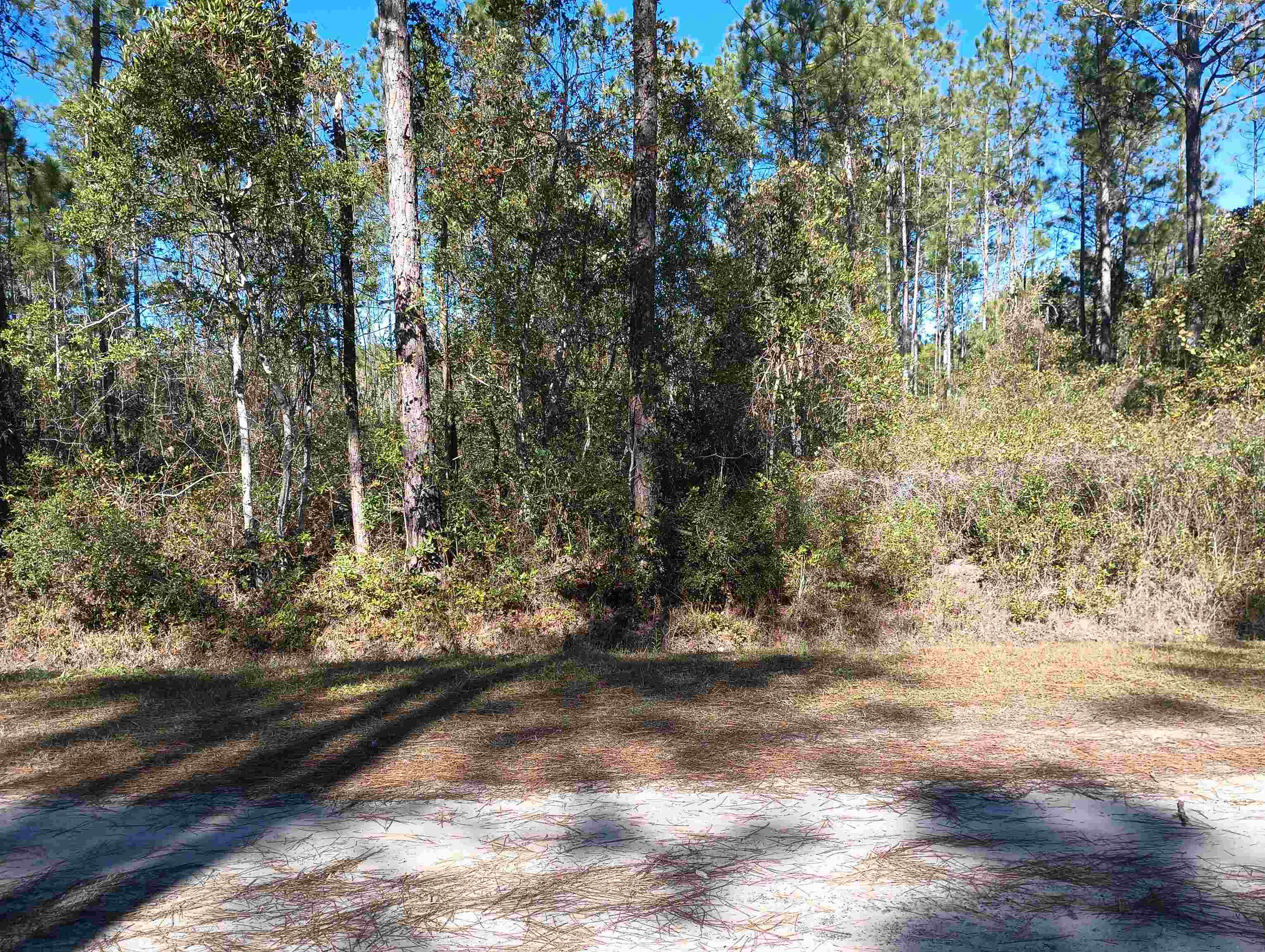 Image 5 of 12 For 10575 Amos Ave