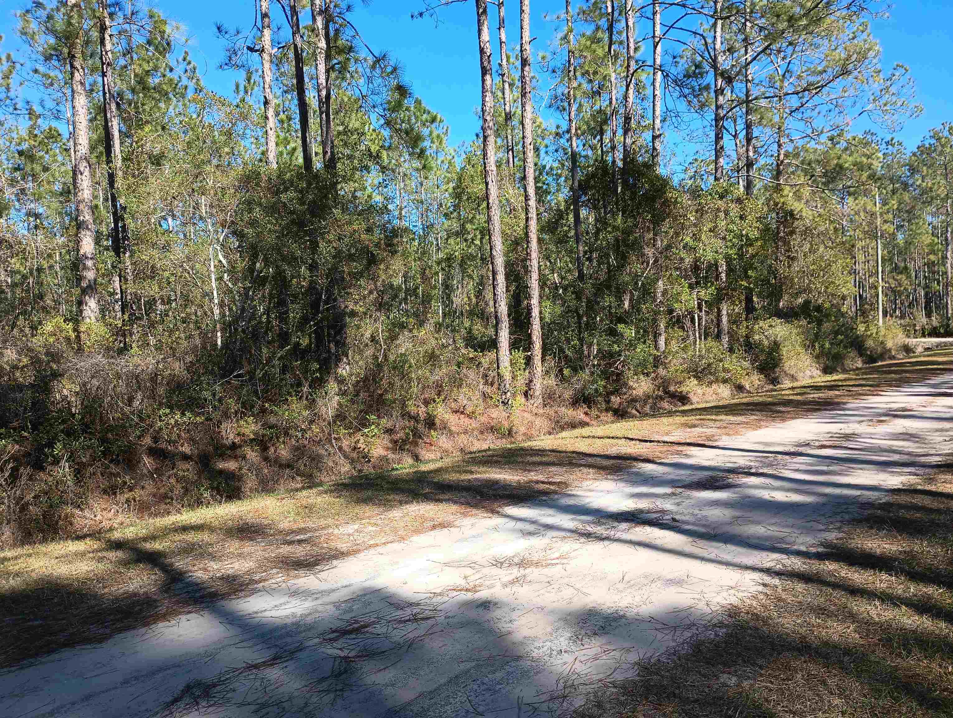 Image 6 of 12 For 10575 Amos Ave