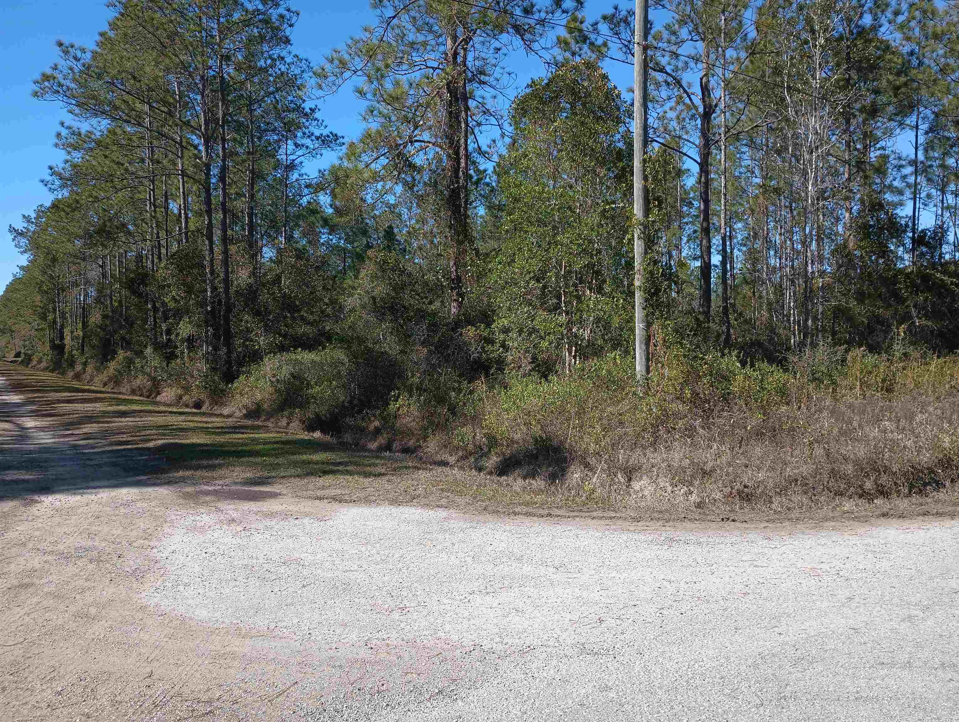 Image 7 of 12 For 10575 Amos Ave