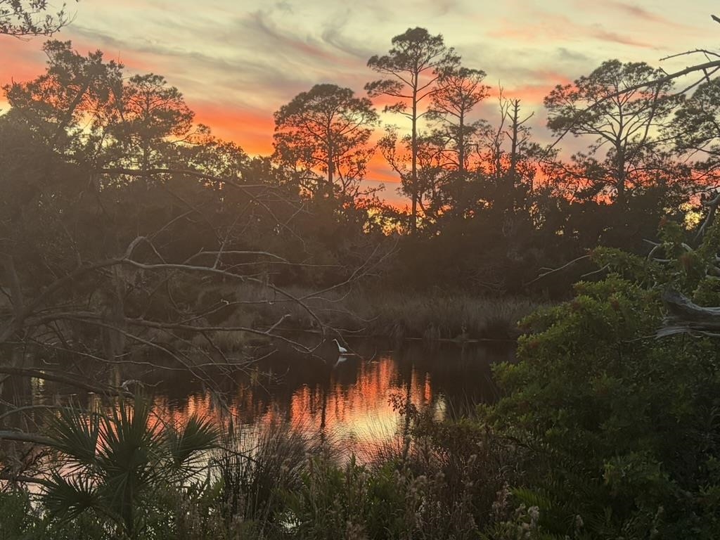 Image 32 of 48 For 180 Tesoro Ter