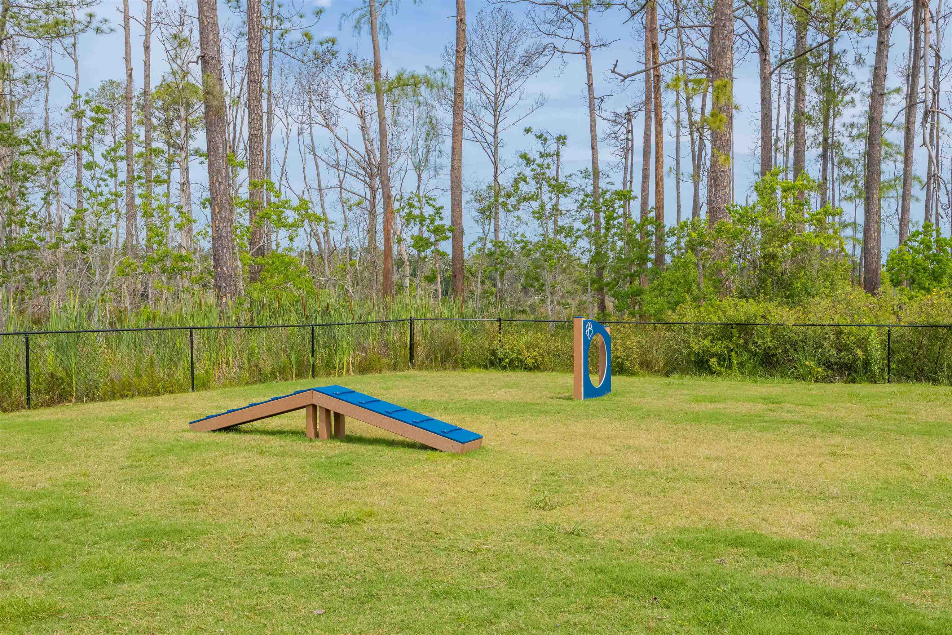 Image 50 of 51 For 166 Fairlake Cir