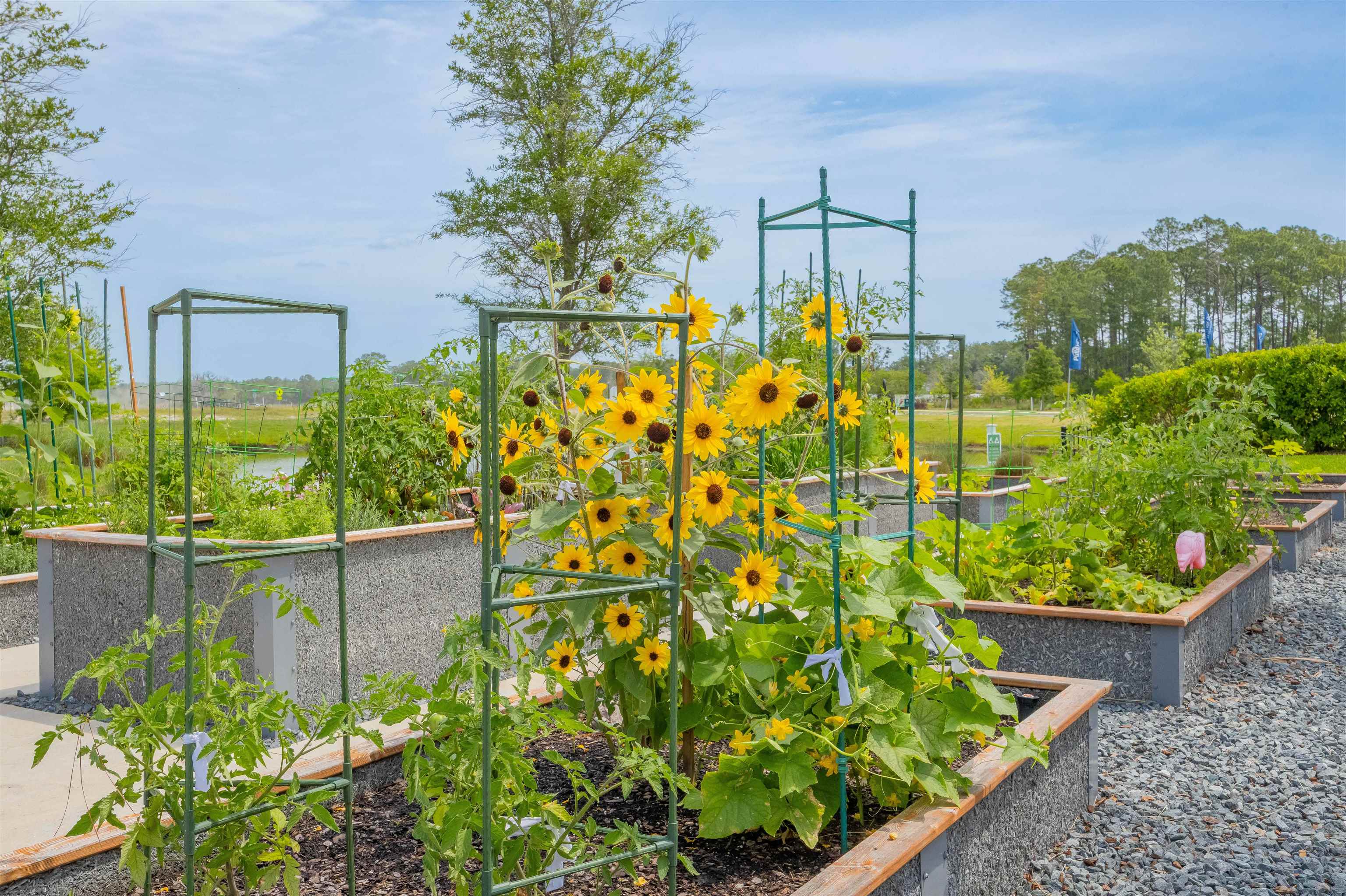 Image 51 of 51 For 166 Fairlake Cir