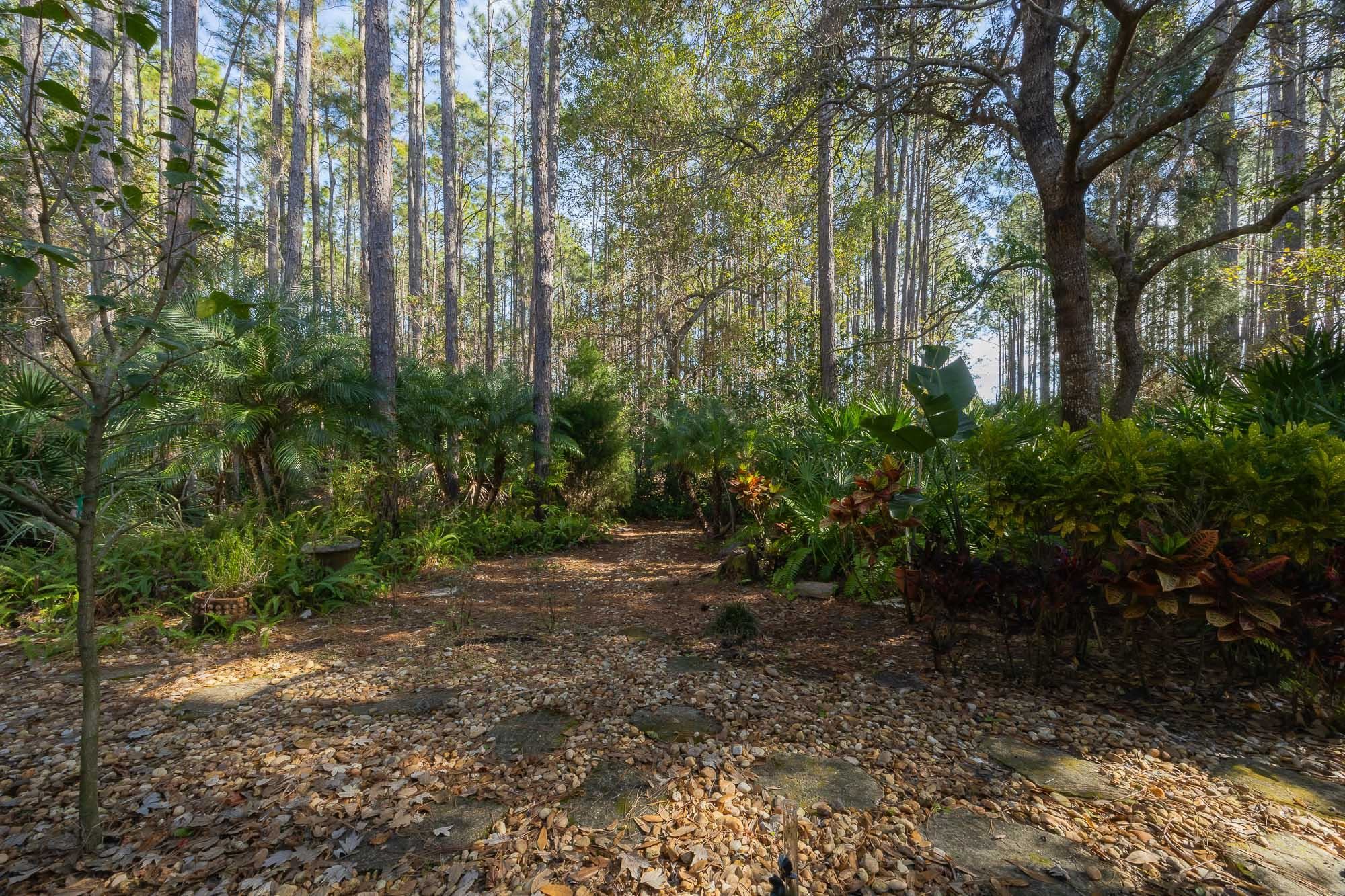 Image 52 of 57 For 64 Grand Ravine Drive