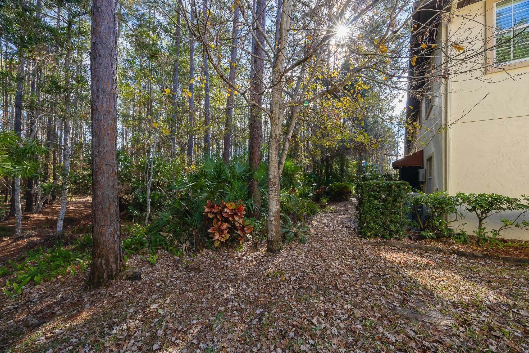 Image 53 of 57 For 64 Grand Ravine Drive