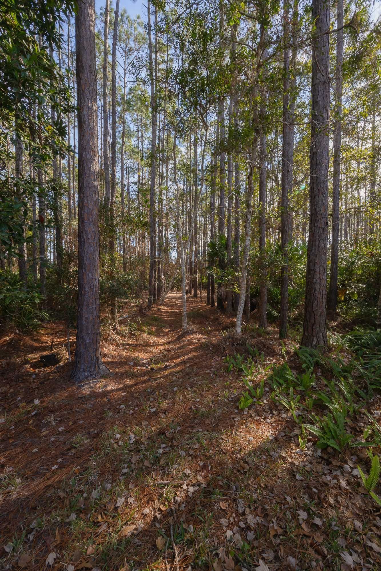 Image 54 of 57 For 64 Grand Ravine Drive