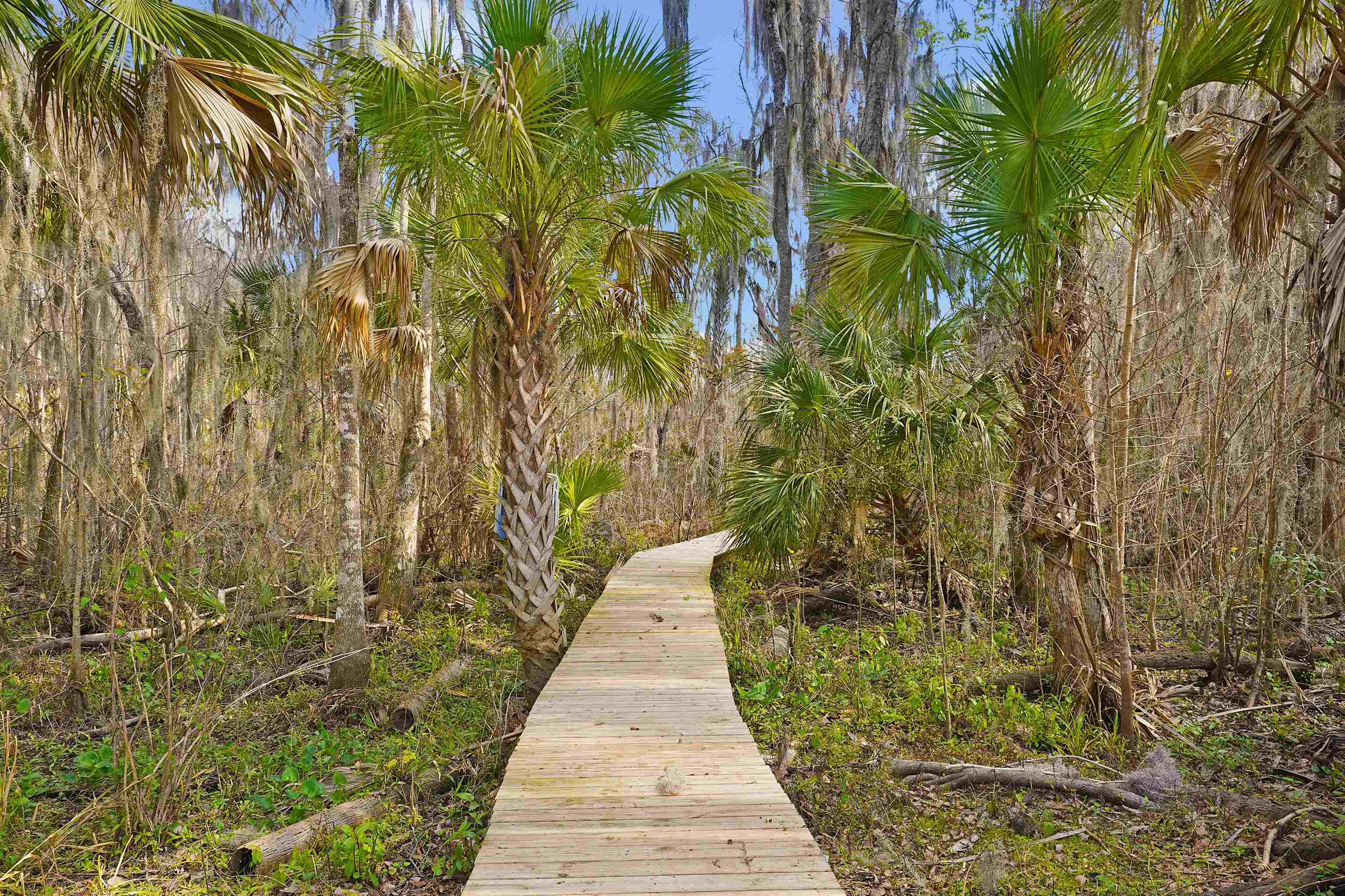 Image 15 of 23 For 1249 County Rd  309