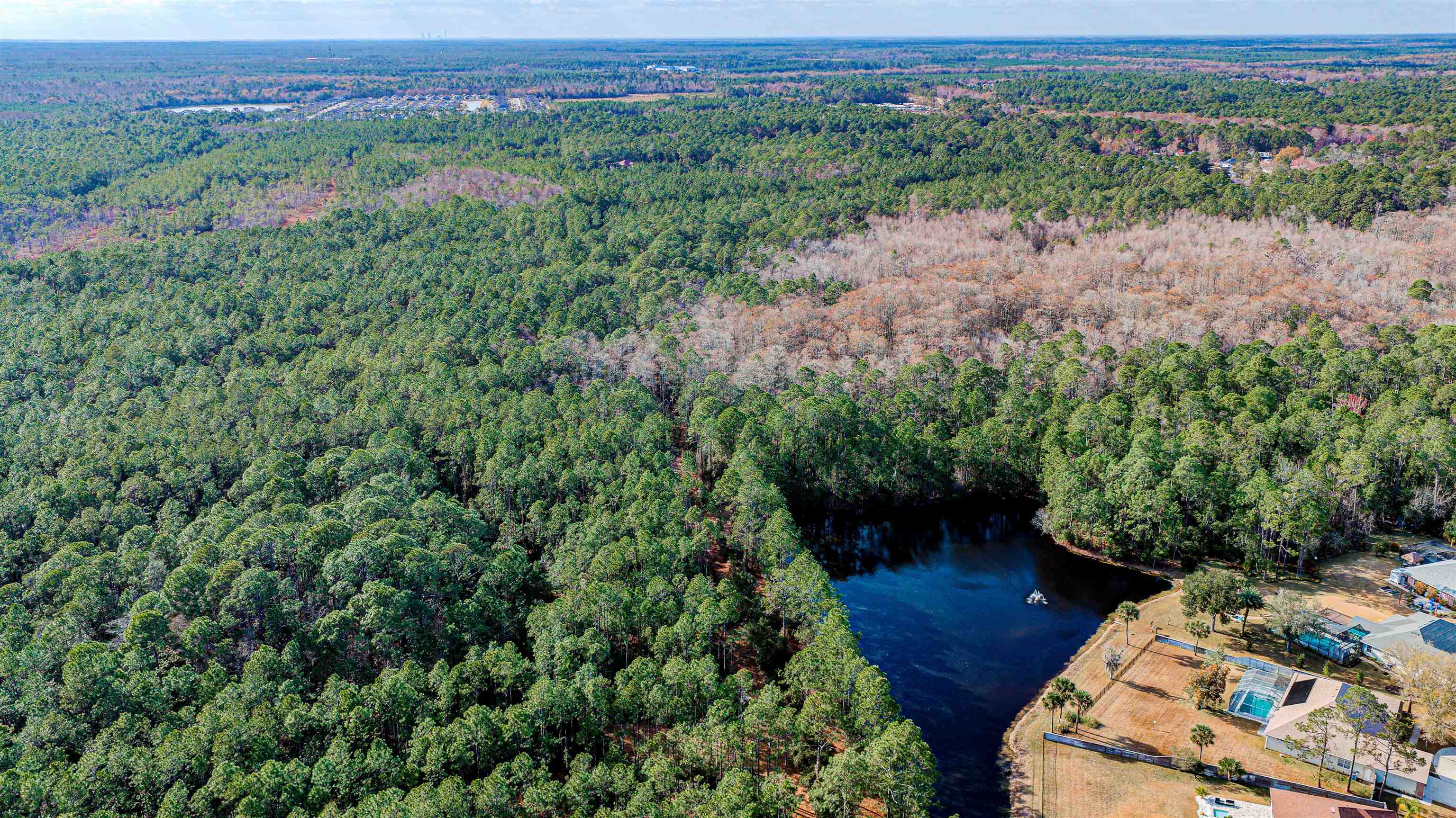 Image 10 of 24 For State Road 206 E