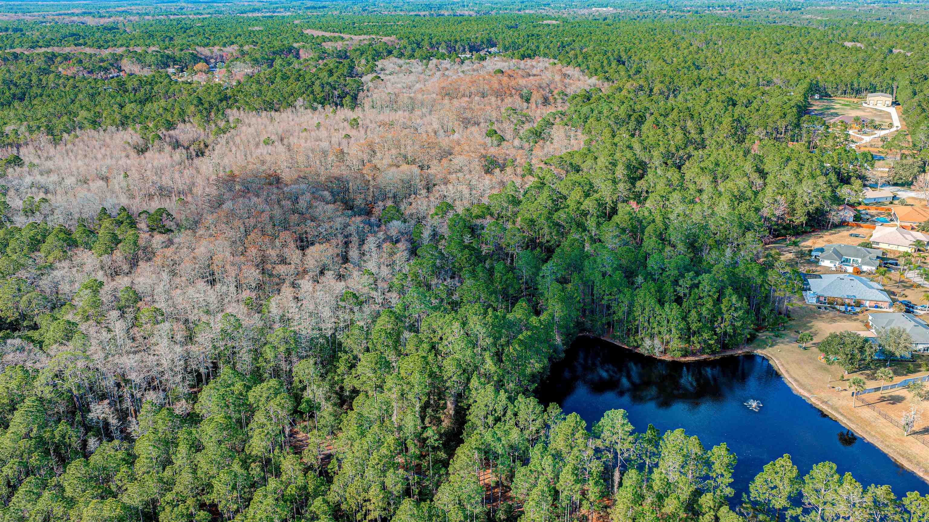 Image 13 of 24 For State Road 206 E