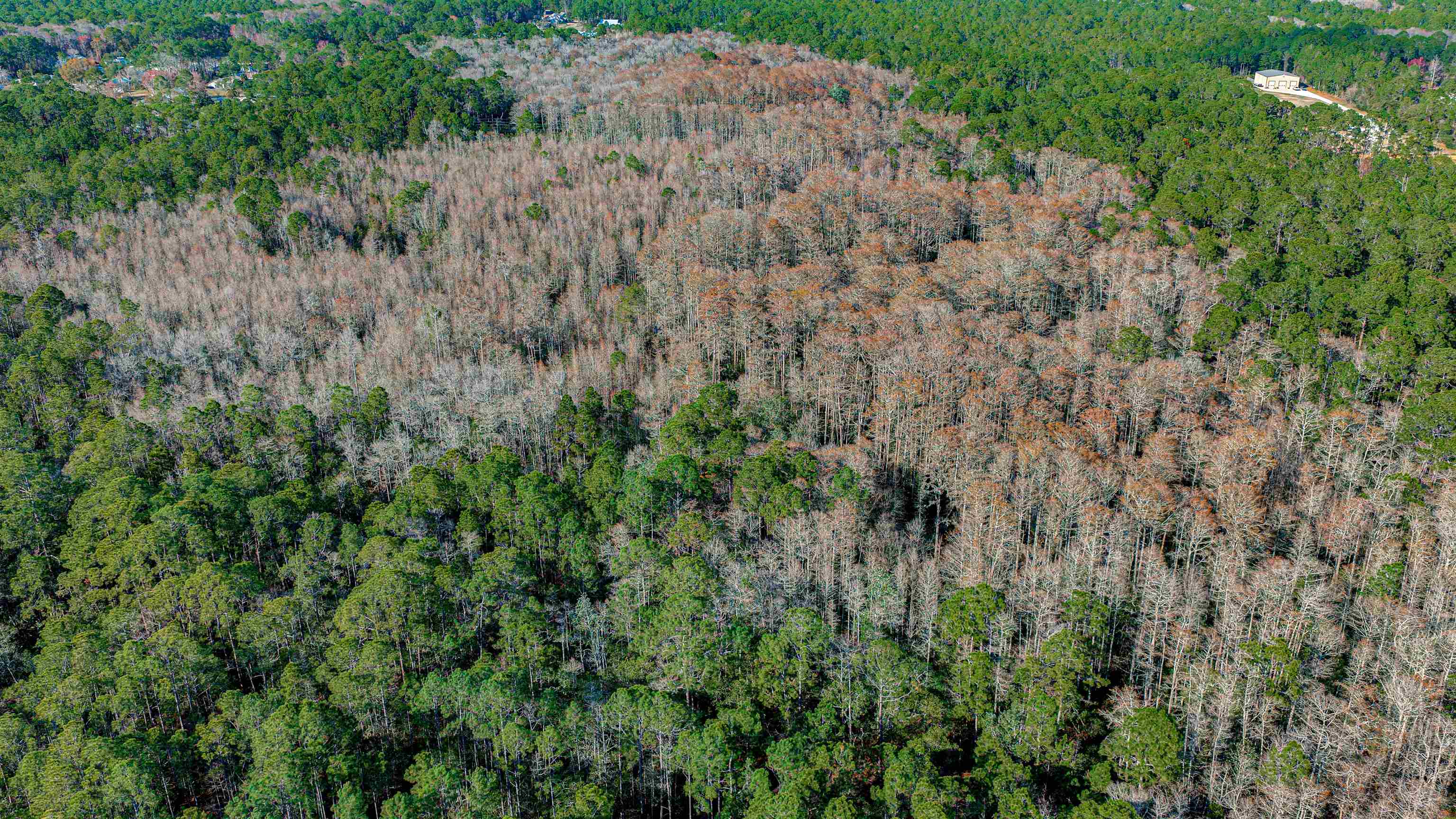 Image 15 of 24 For State Road 206 E