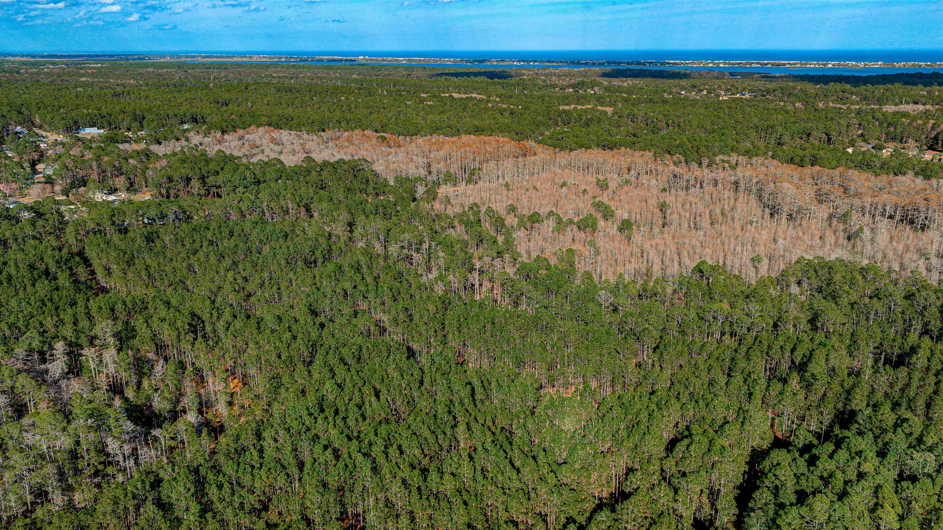 Image 17 of 24 For State Road 206 E