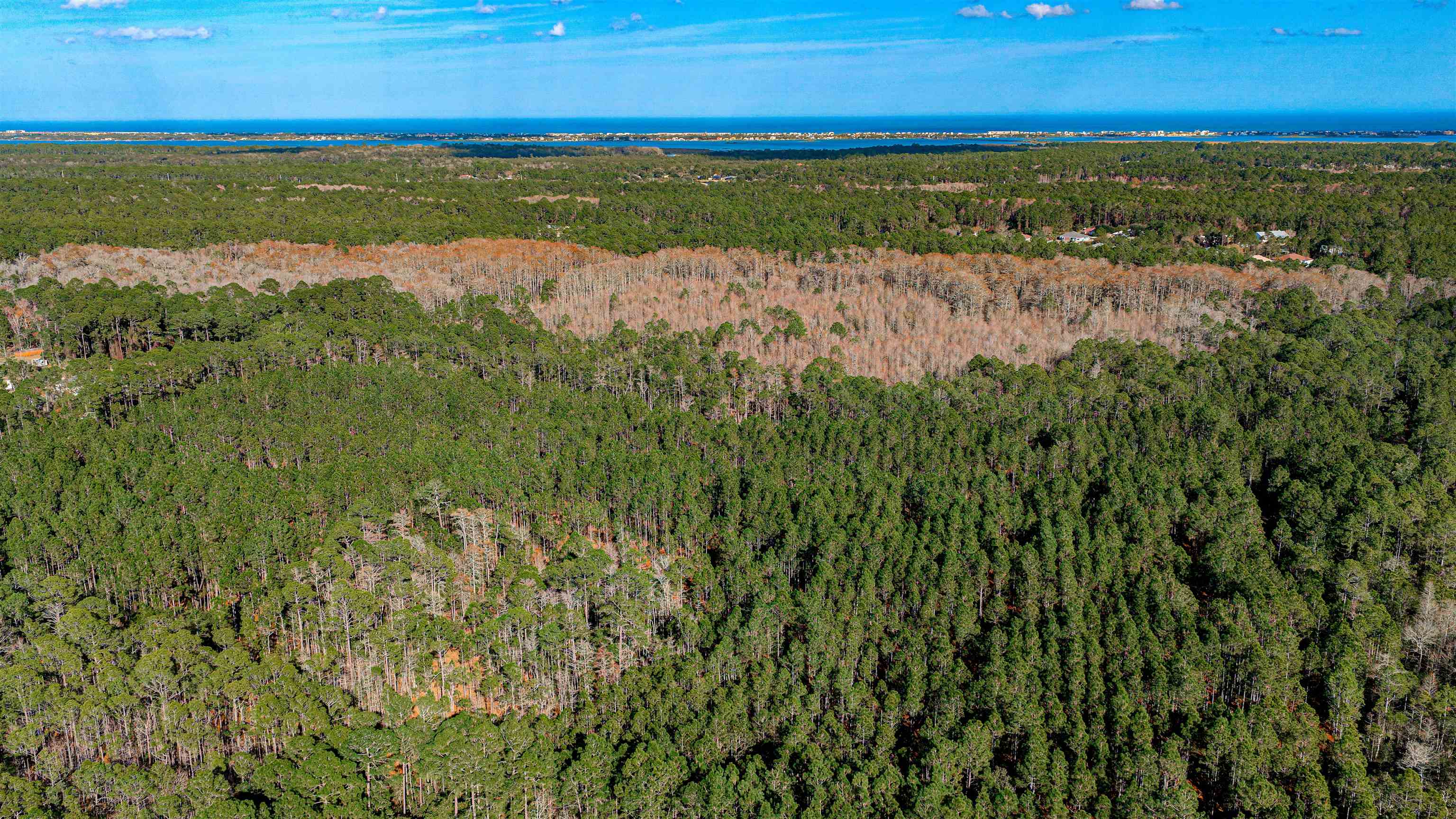 Image 18 of 24 For State Road 206 E