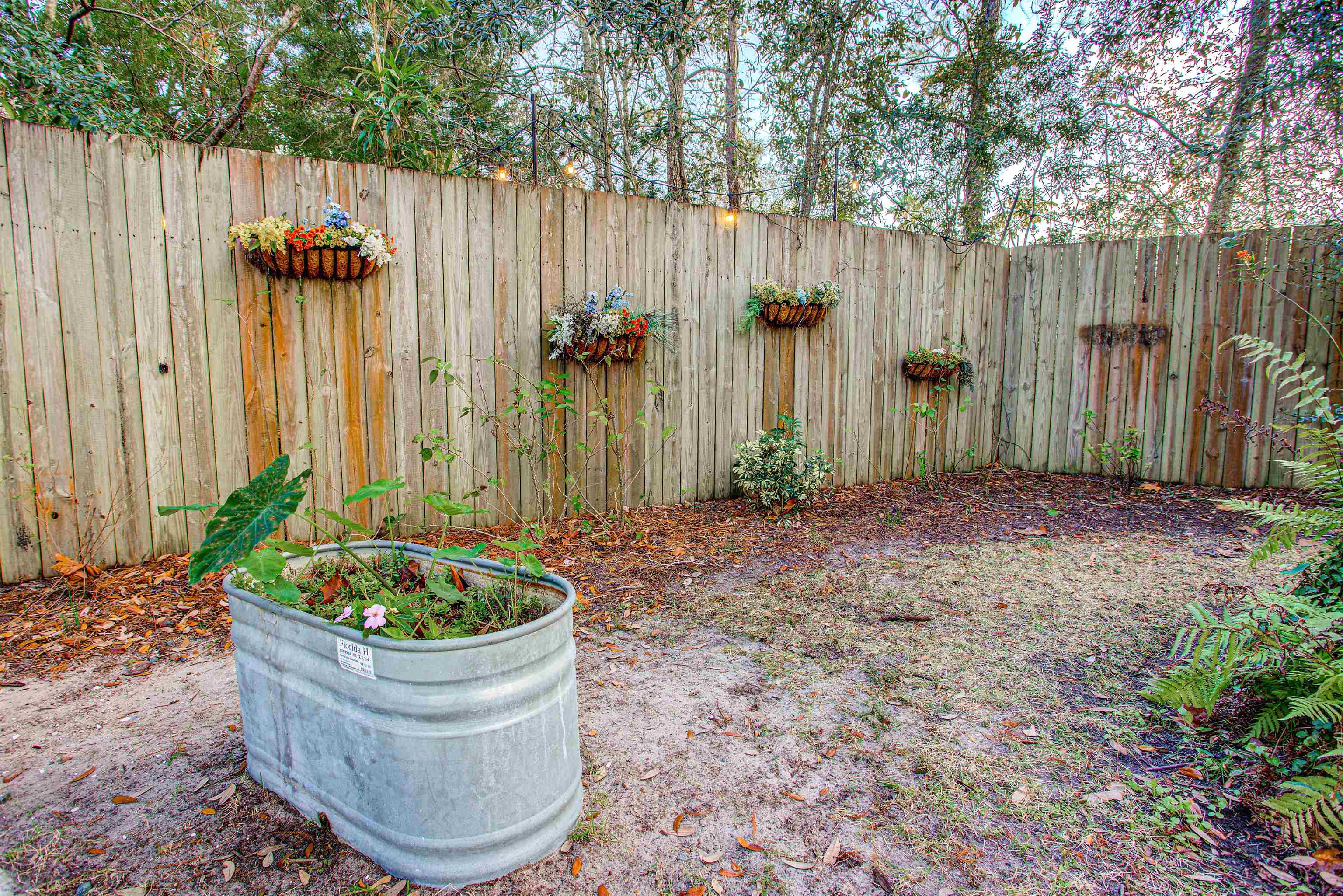 Image 48 of 56 For 259 San Marco Ave