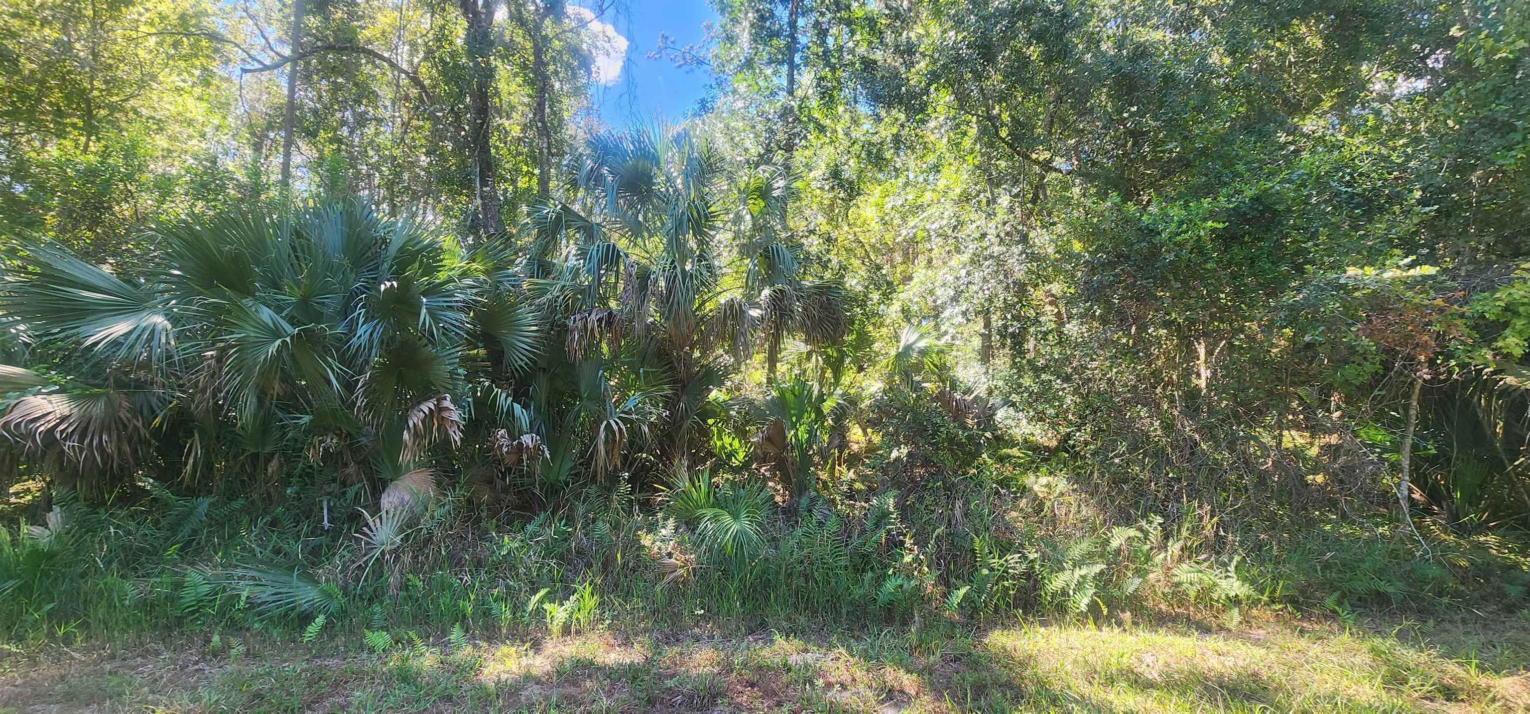 Details for 427 Dogwood Ave, Georgetown, FL 32139