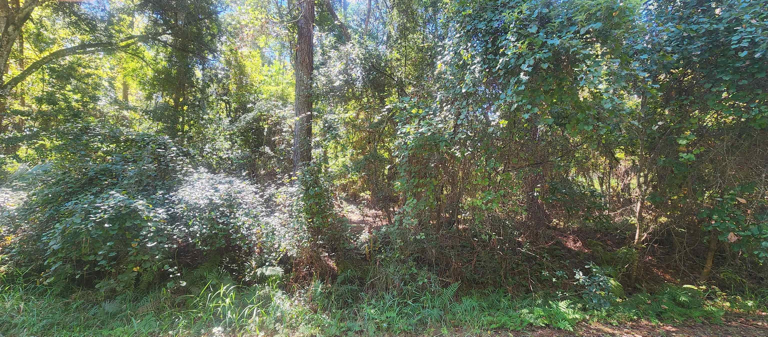 Details for 421 Dogwood Ave, Georgetown, FL 32139