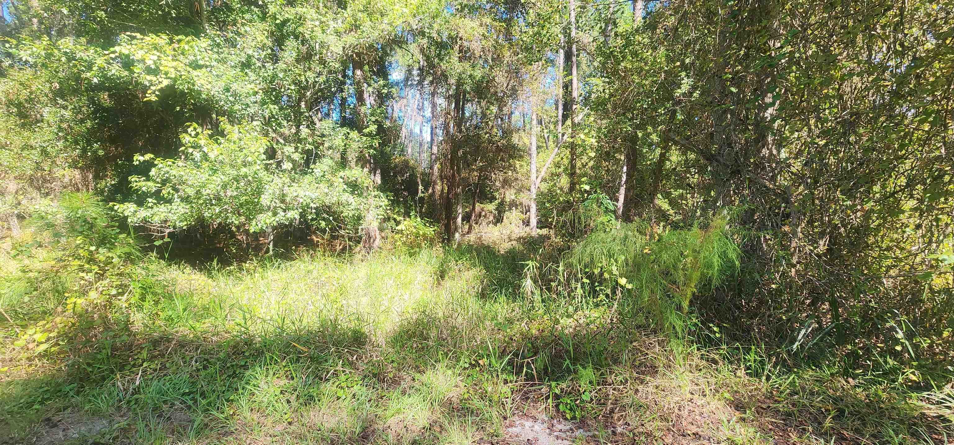 Details for 424 Dogwood Ave, Georgetown, FL 32139