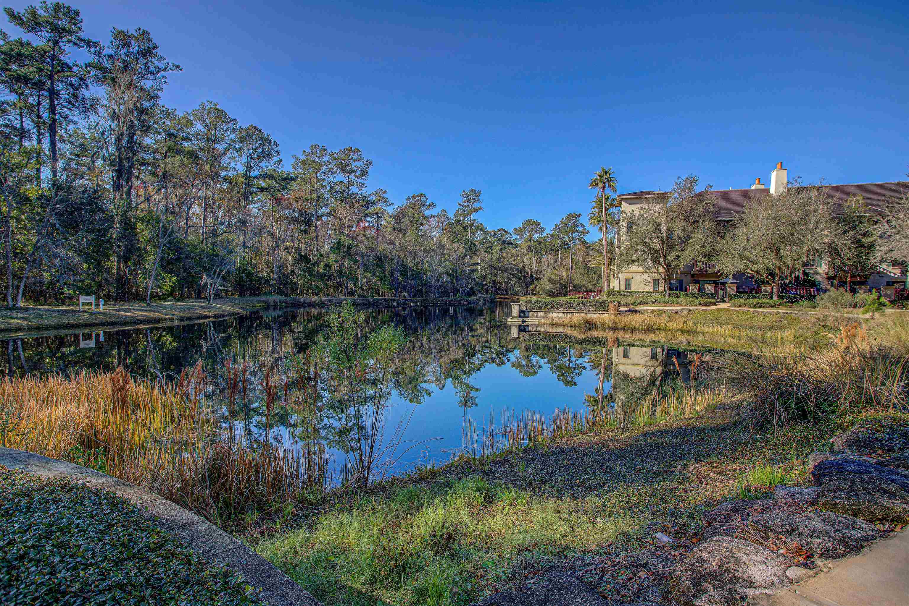 Image 40 of 46 For 945 Registry Blvd  209