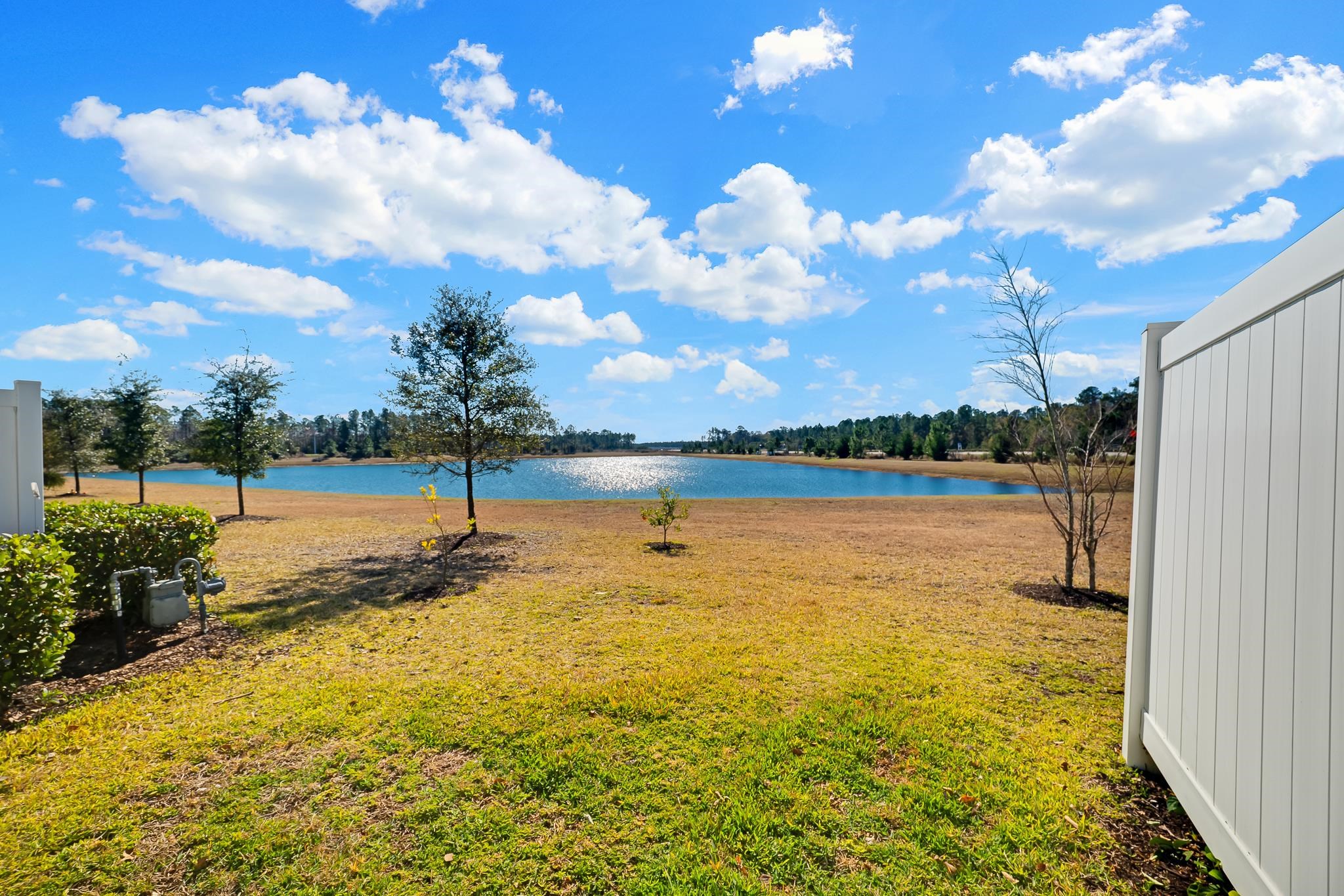 Image 41 of 55 For 198 Pine Bluff Dr