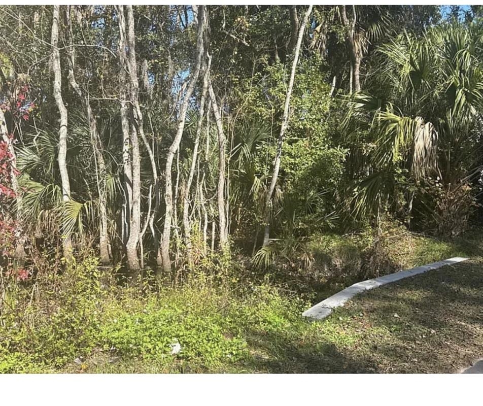 Listing Details for 0 Collier Blvd, St Augustine, FL 32084