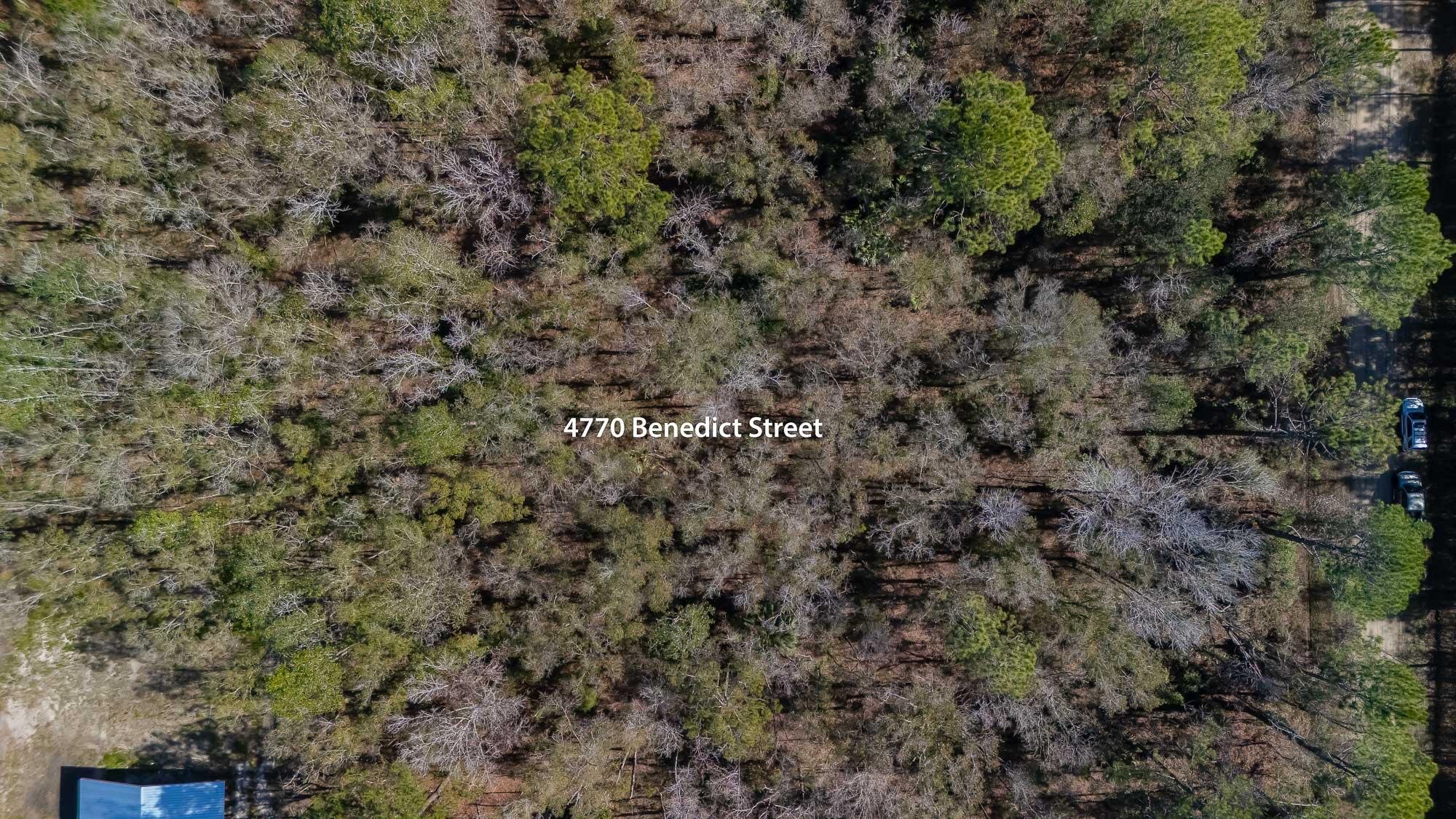 Image 16 of 17 For 4770 Benedict St