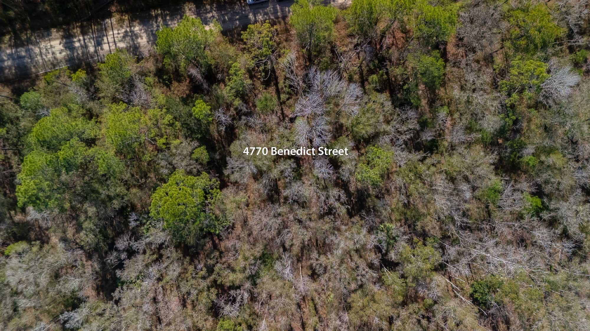 Image 7 of 17 For 4770 Benedict St