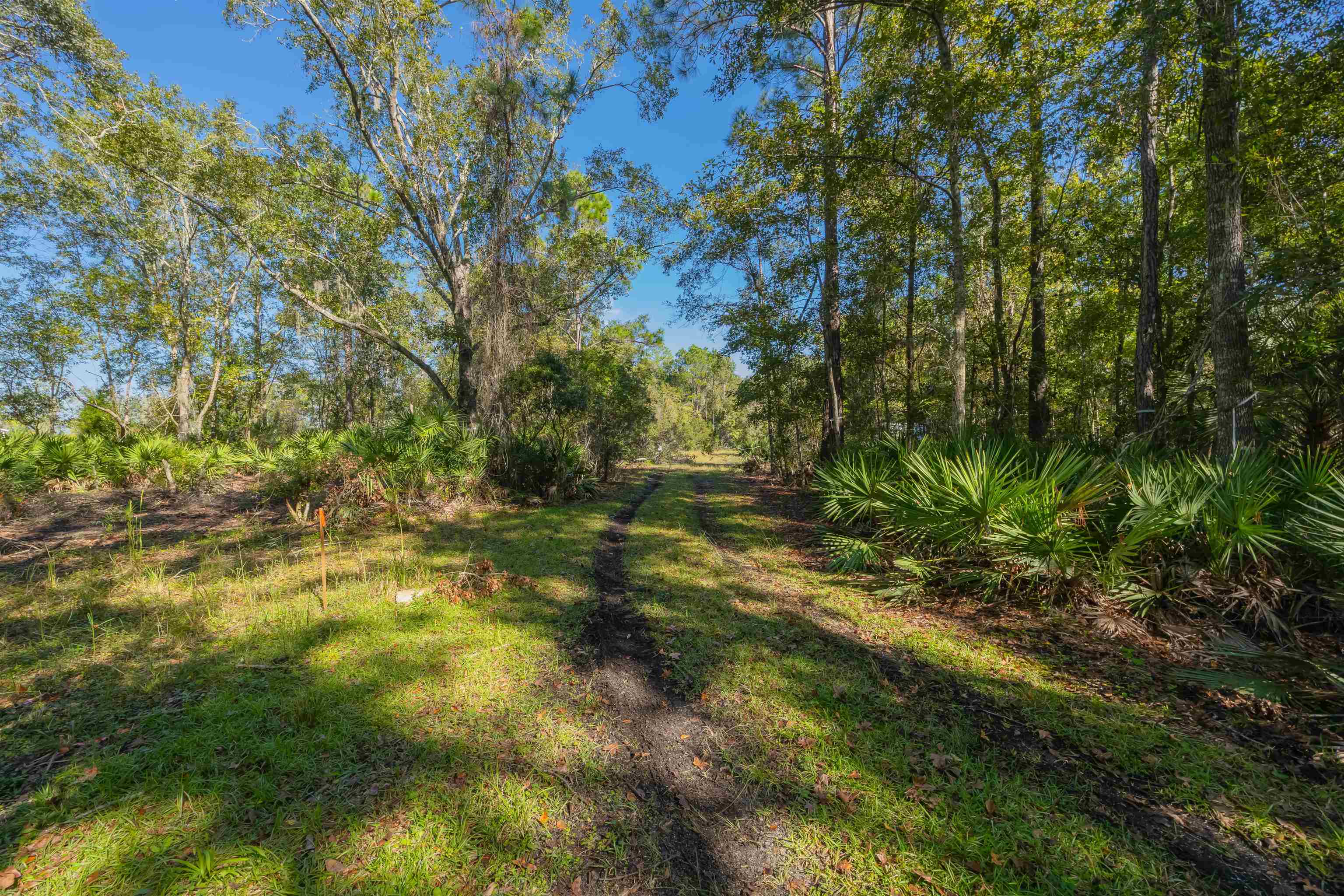 Image 25 of 36 For 1974 State Road 16