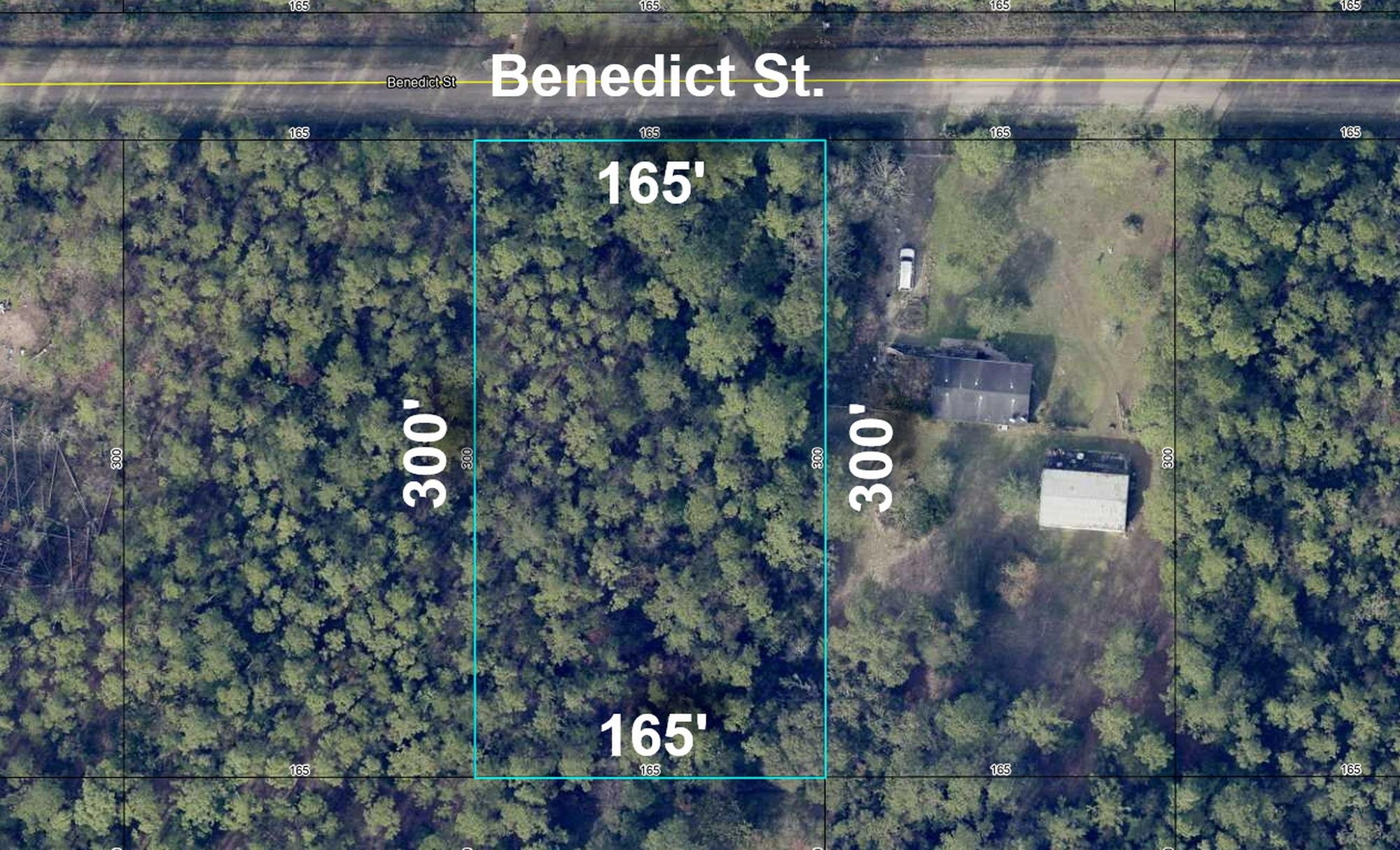 Details for 4235 Benedict St, Hastings, FL 32145