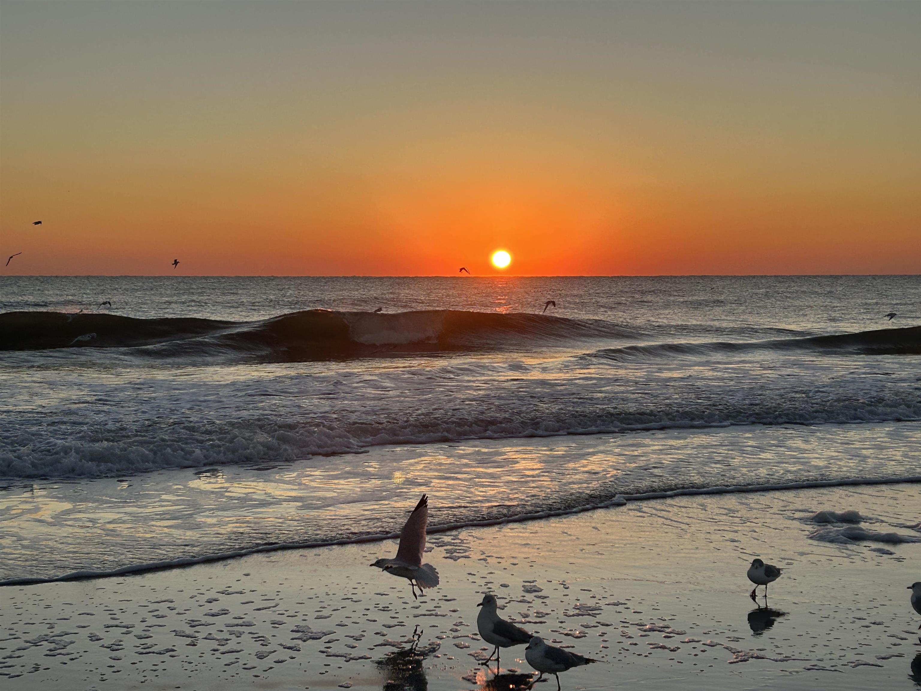 Image 8 of 8 For 206 Madrid St