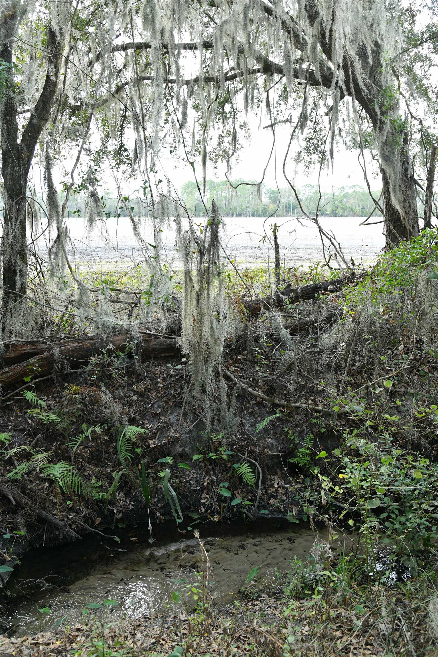 Image 41 of 52 For 130 Fulwood Dr