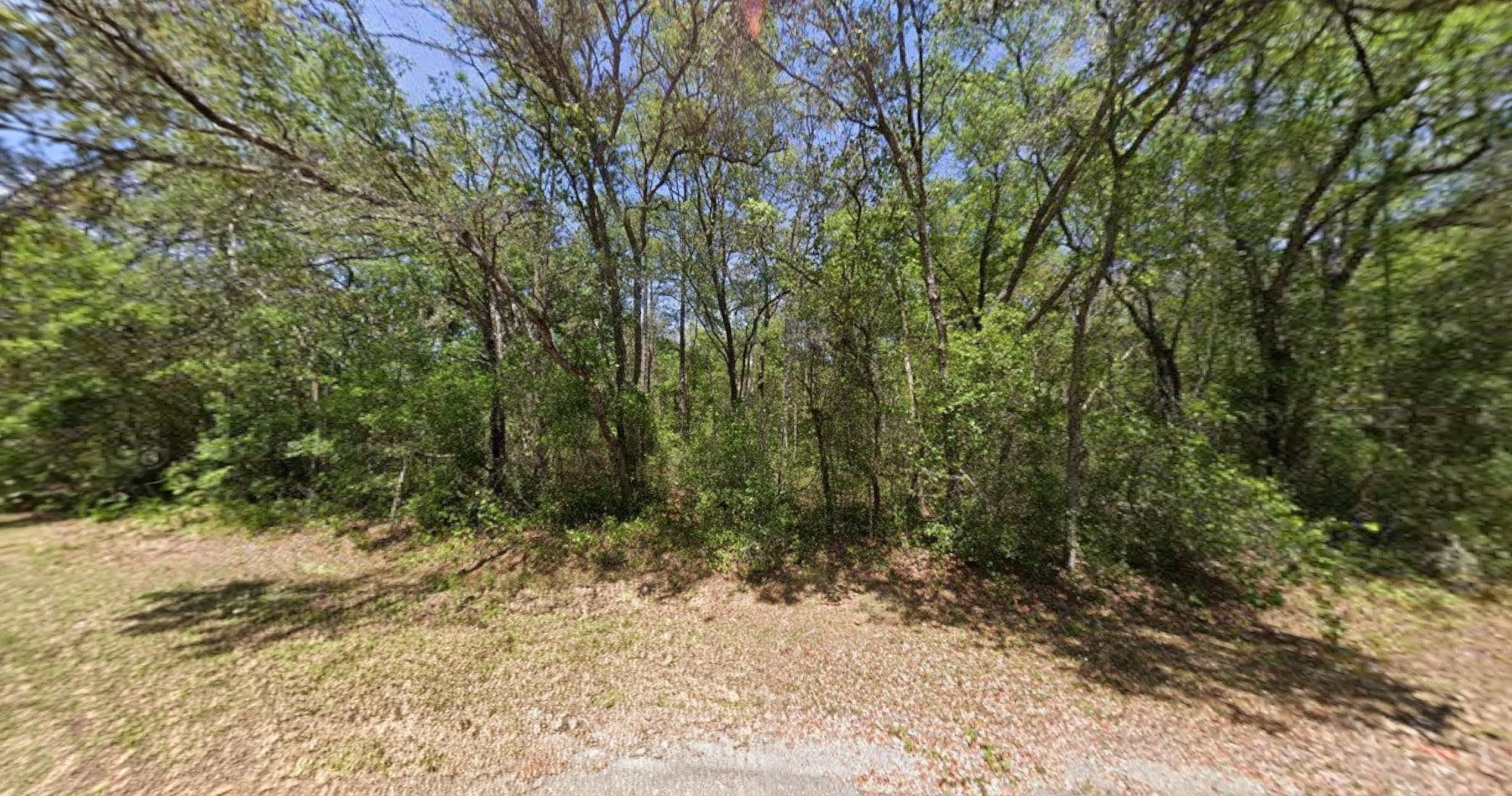 Details for Guava Lane Trak, Ocklawaha, FL 32179