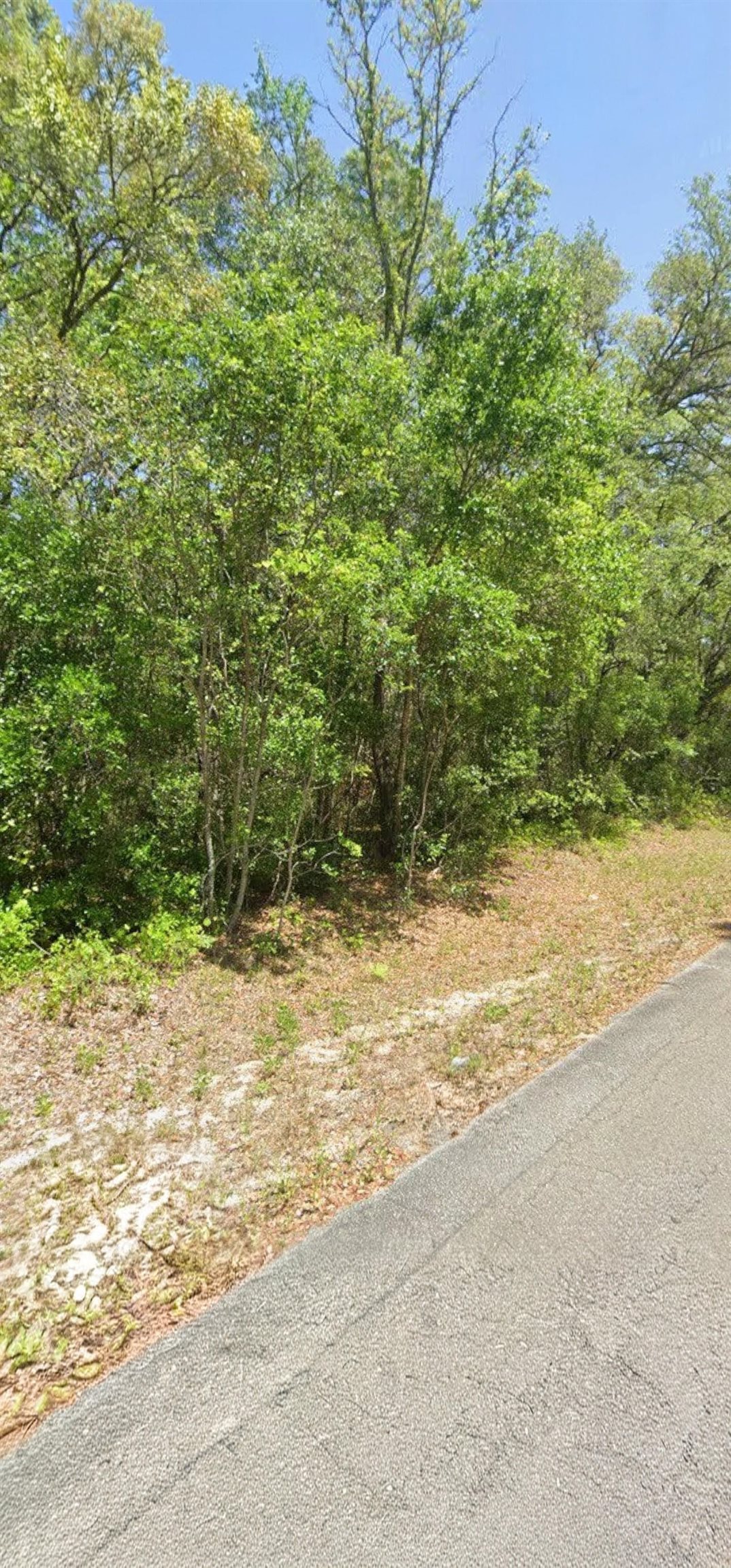 Image 2 of 2 For Guava Lane Trak
