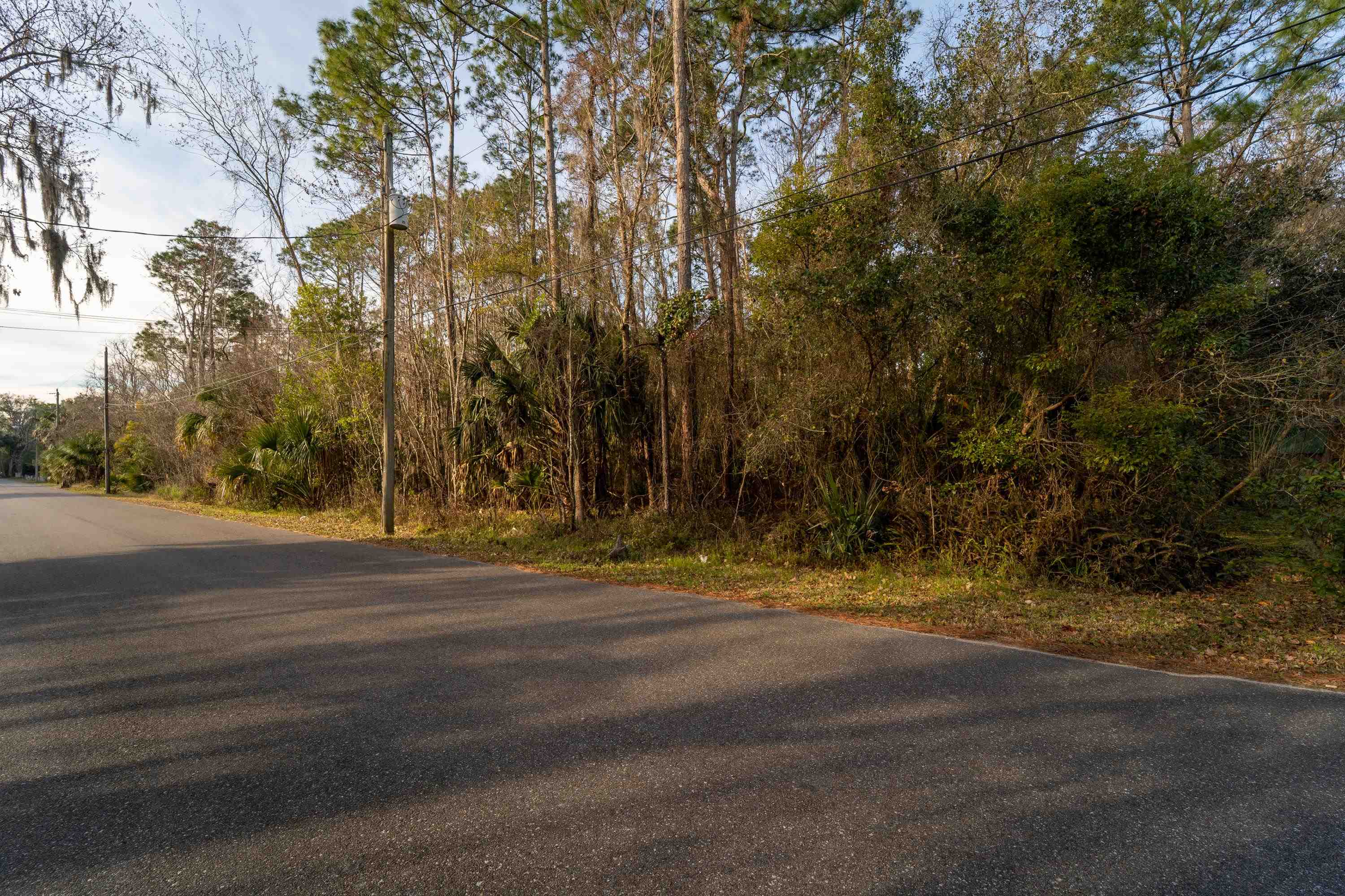 Image 17 of 21 For 0 Clay St N