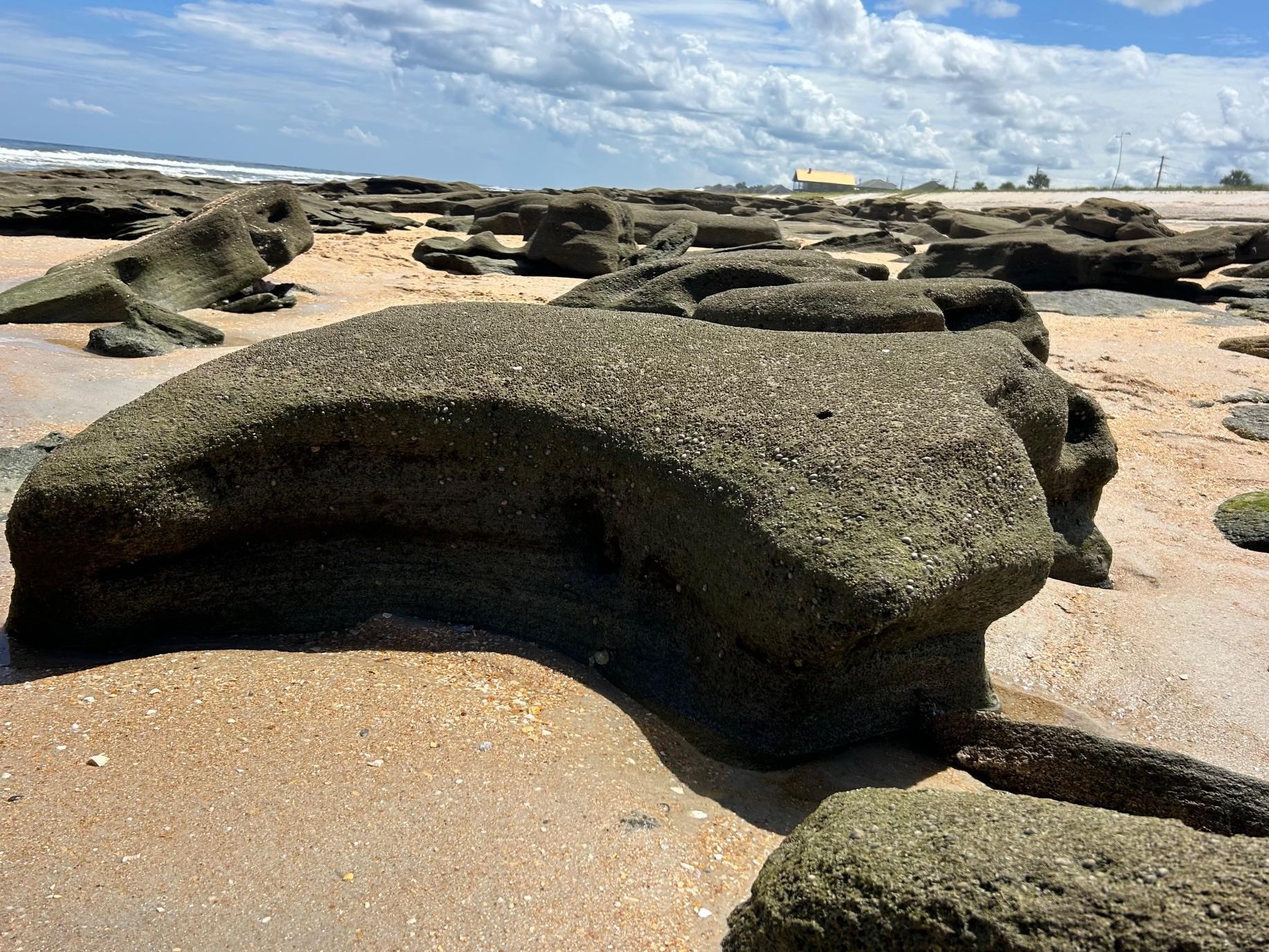 Image 34 of 35 For 600 Domenico Cir  G9