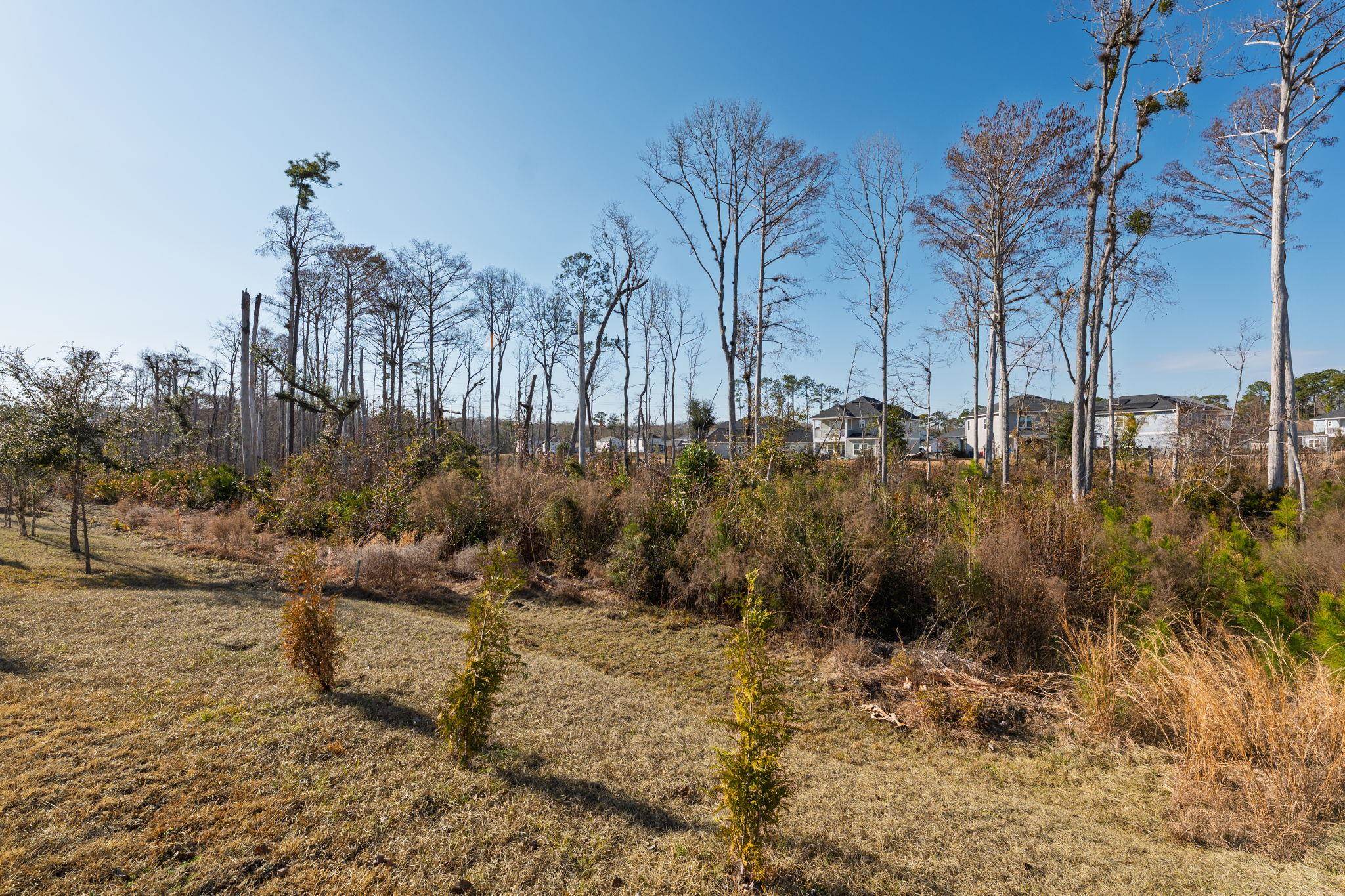 Image 35 of 43 For 28 Seasons Court