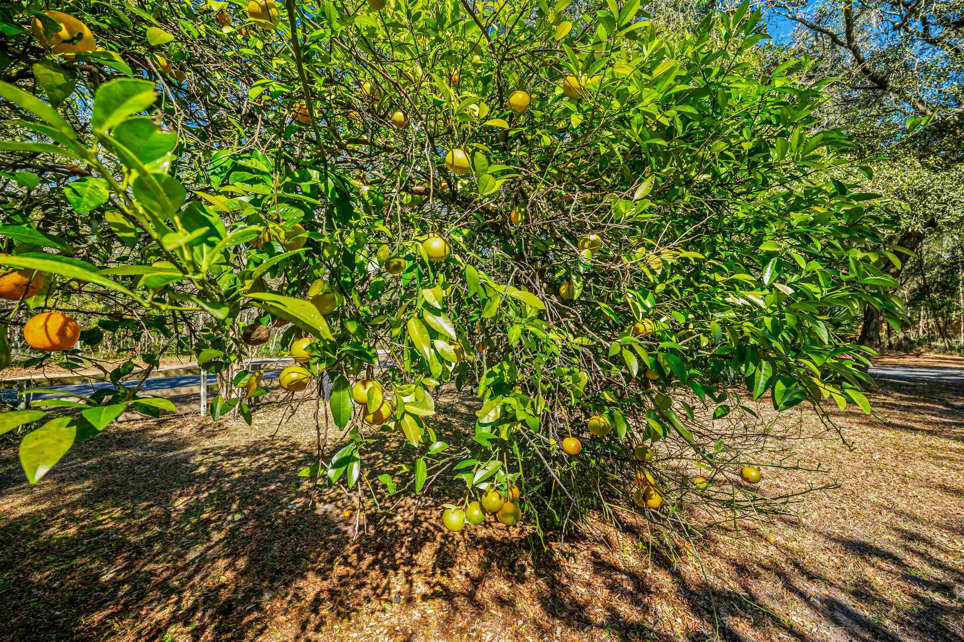 Image 60 of 68 For 2950 Kings Rd