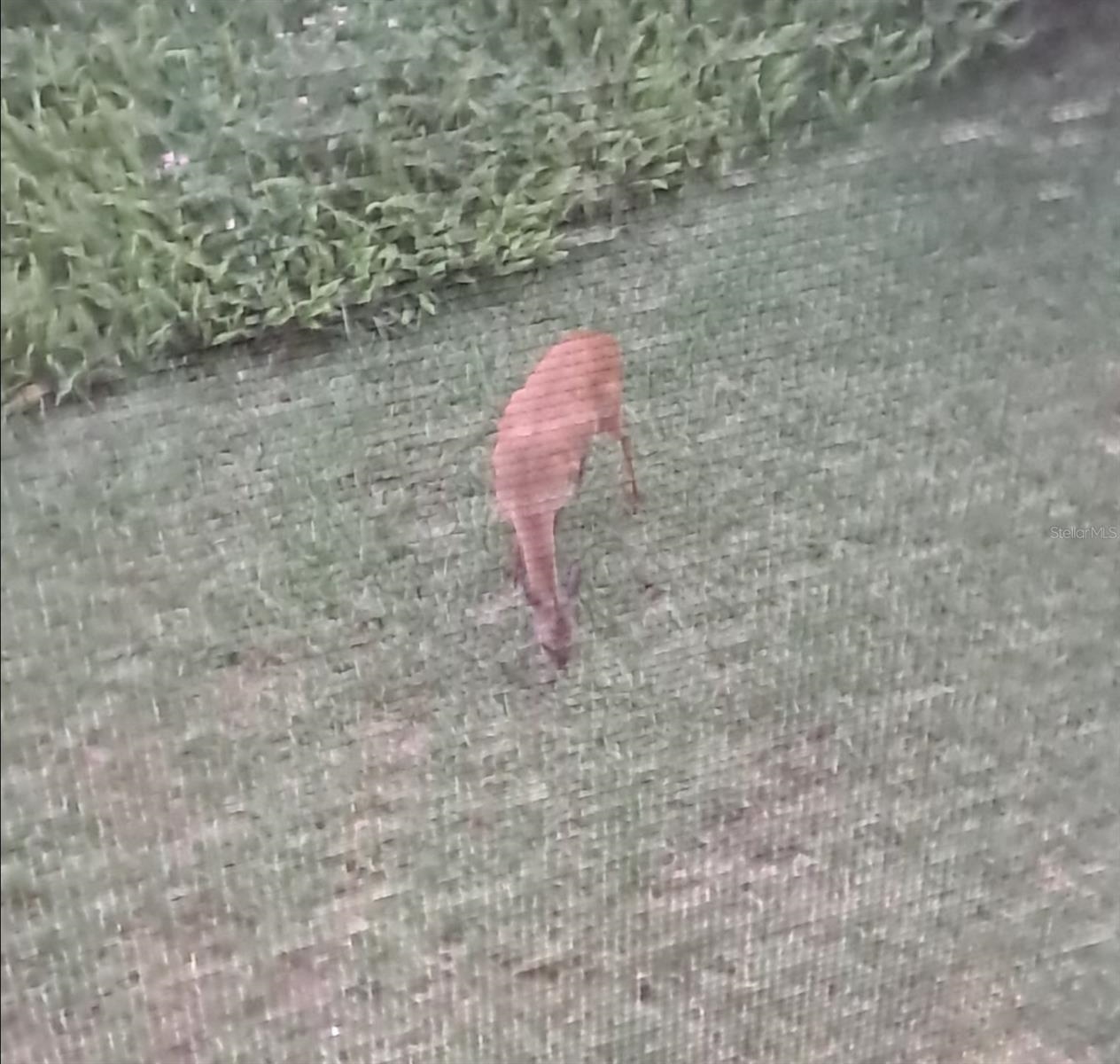 Image 37 of 40 For 32 Navarra Ct